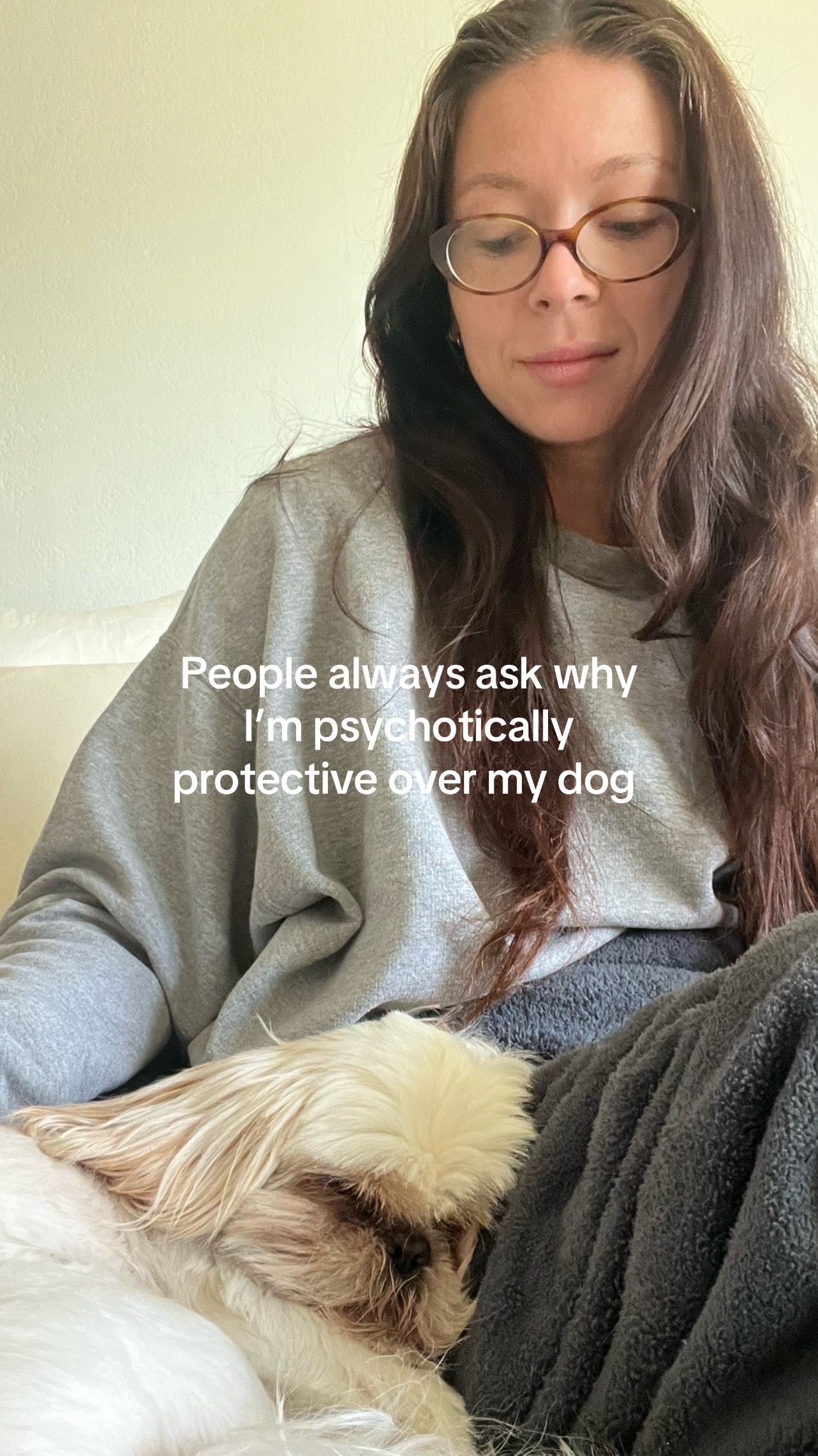 @Hugh the Shih Tzu