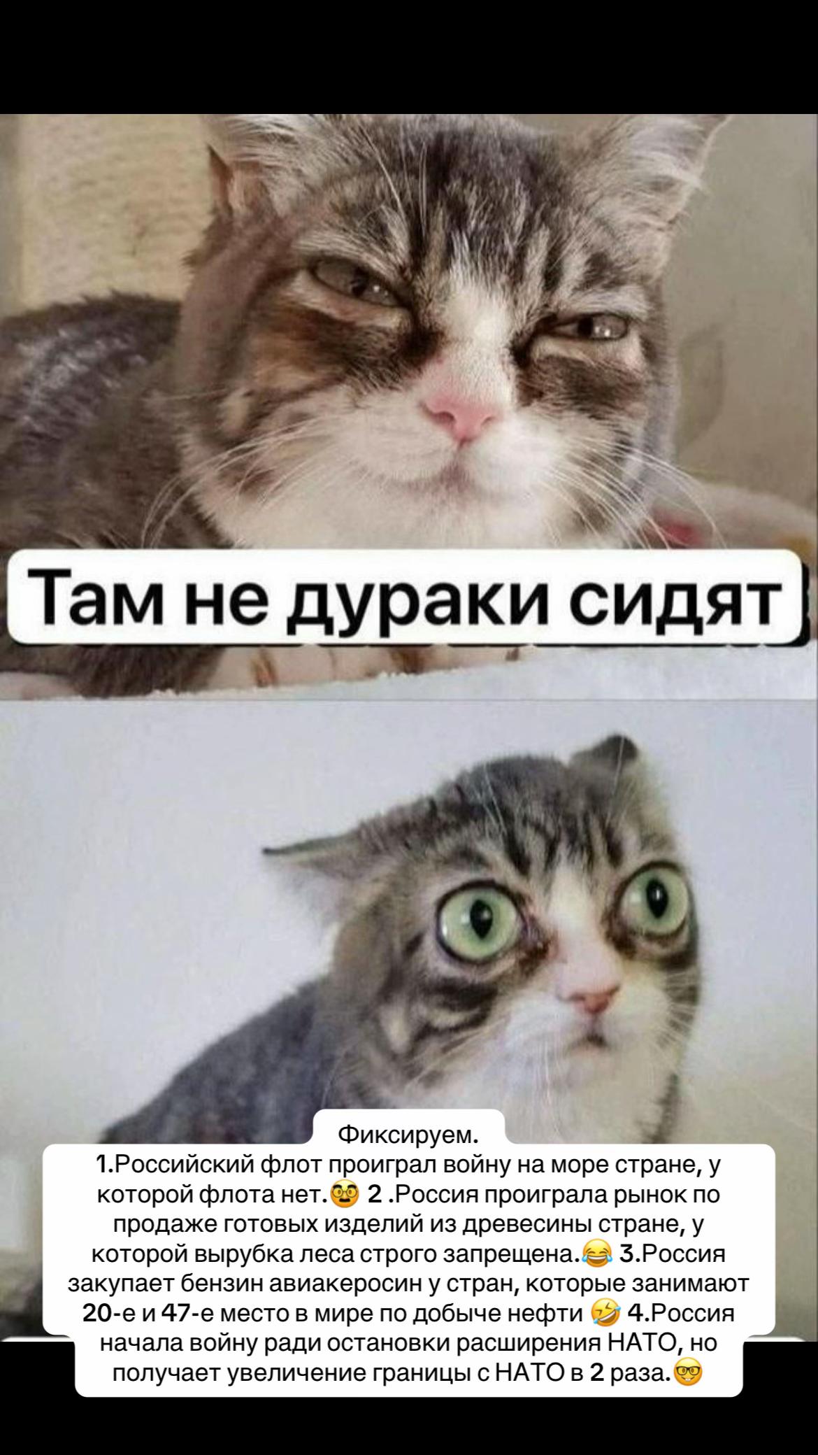 @Калмыкова 👑