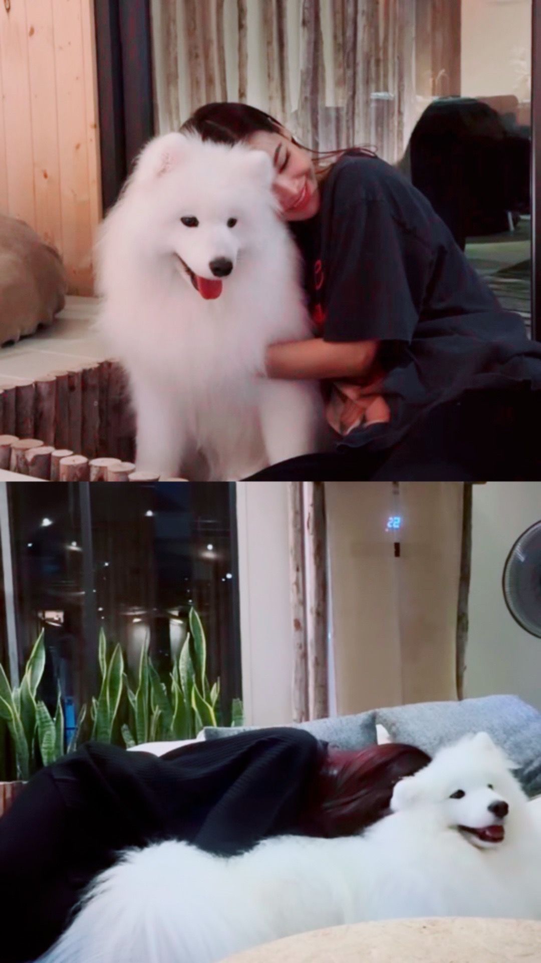 @Englot.28🐶🐰