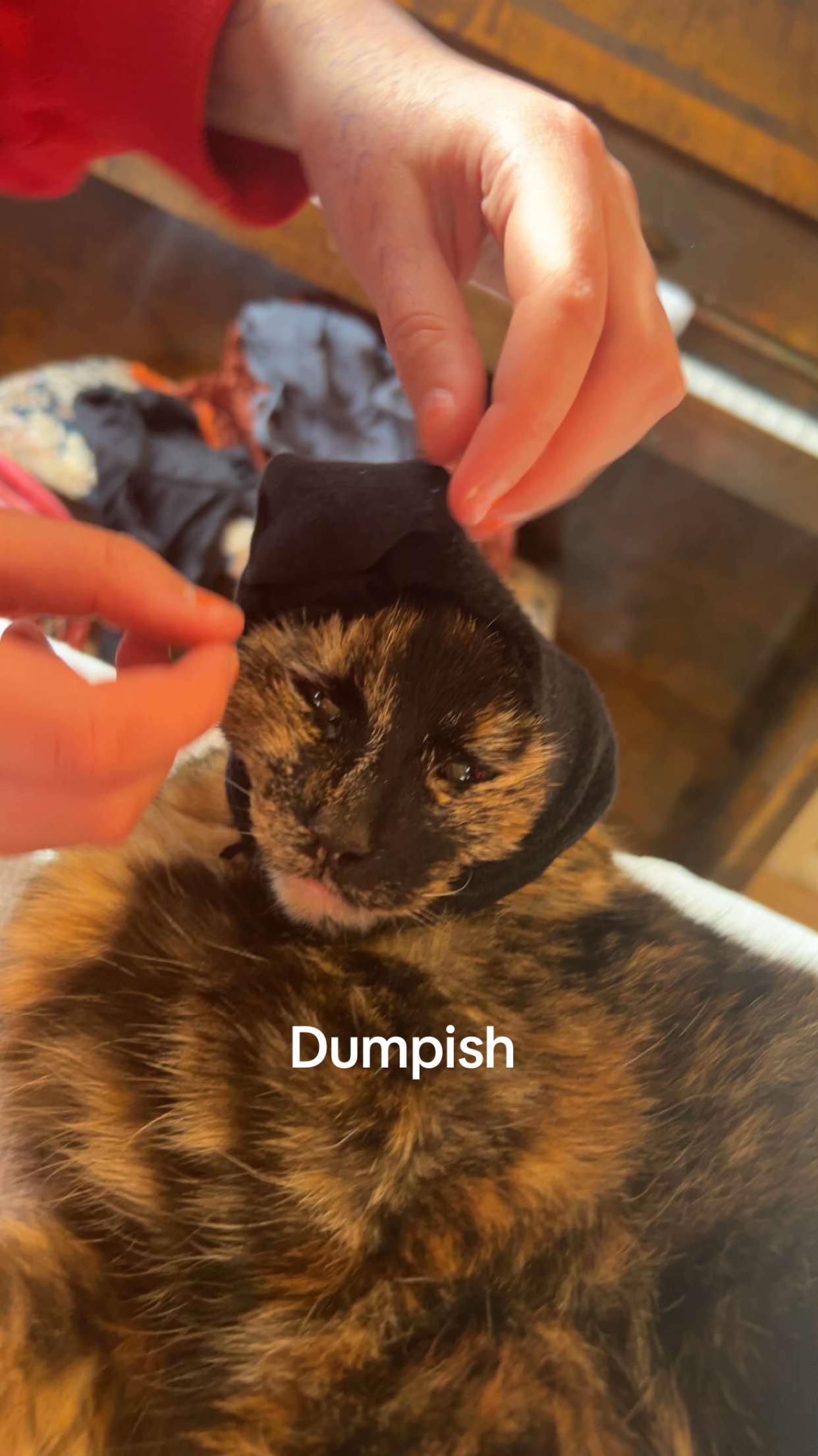 @Hejpådig