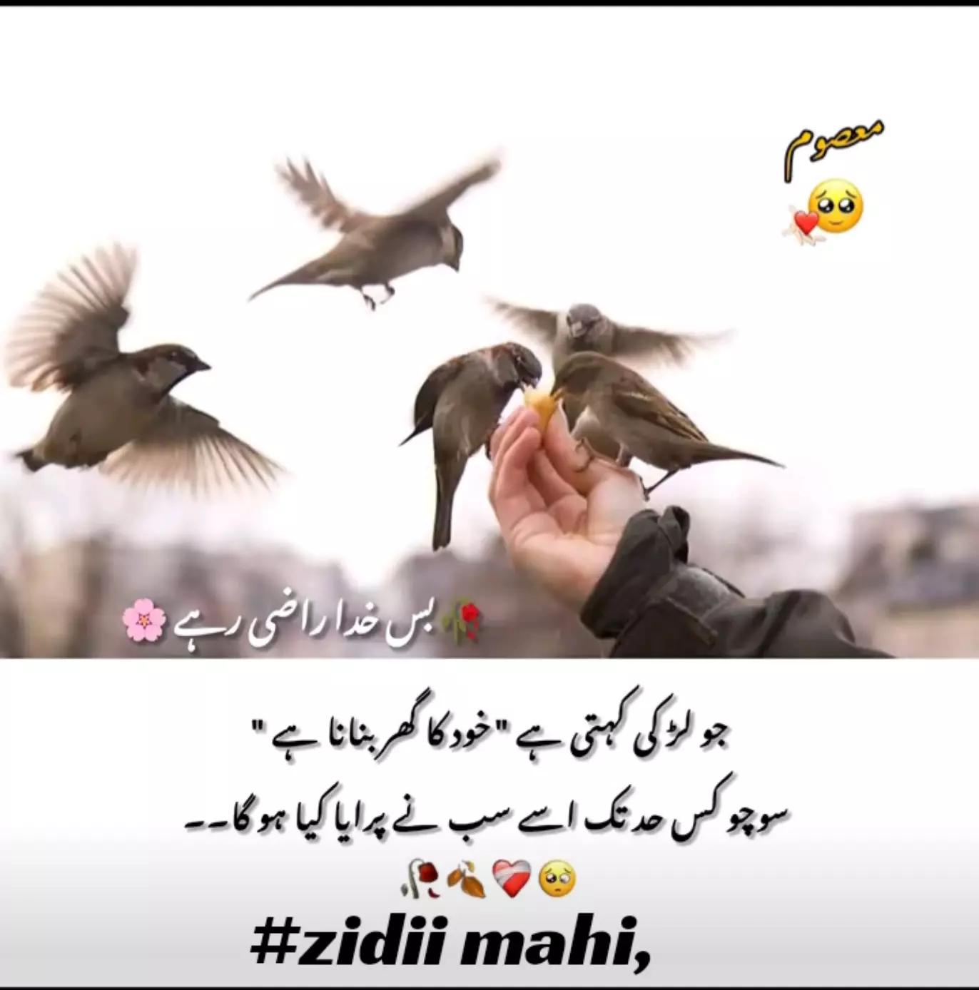 @Ziddi mahi