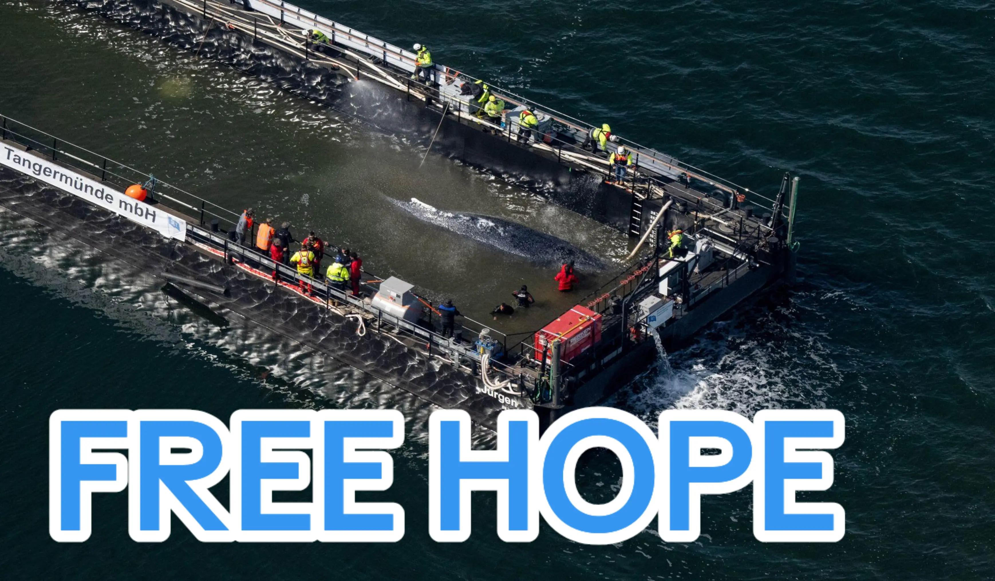 @Hope_for_the_Animals 🇦🇹