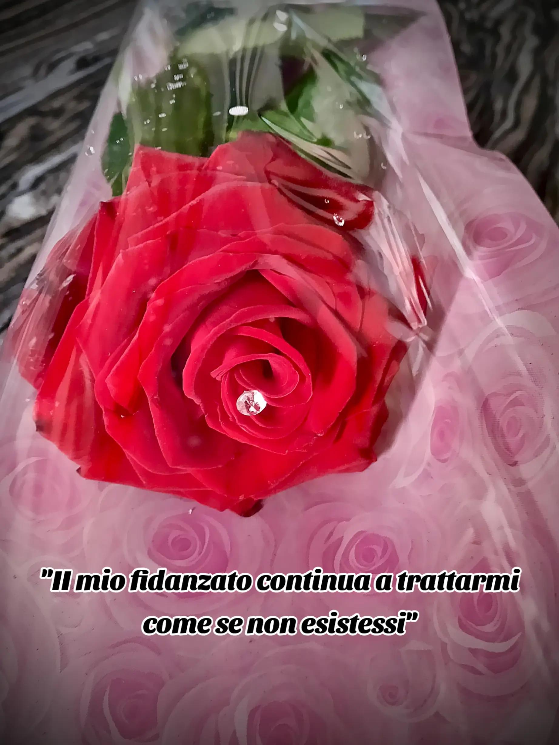 @Anna Di Lillo
