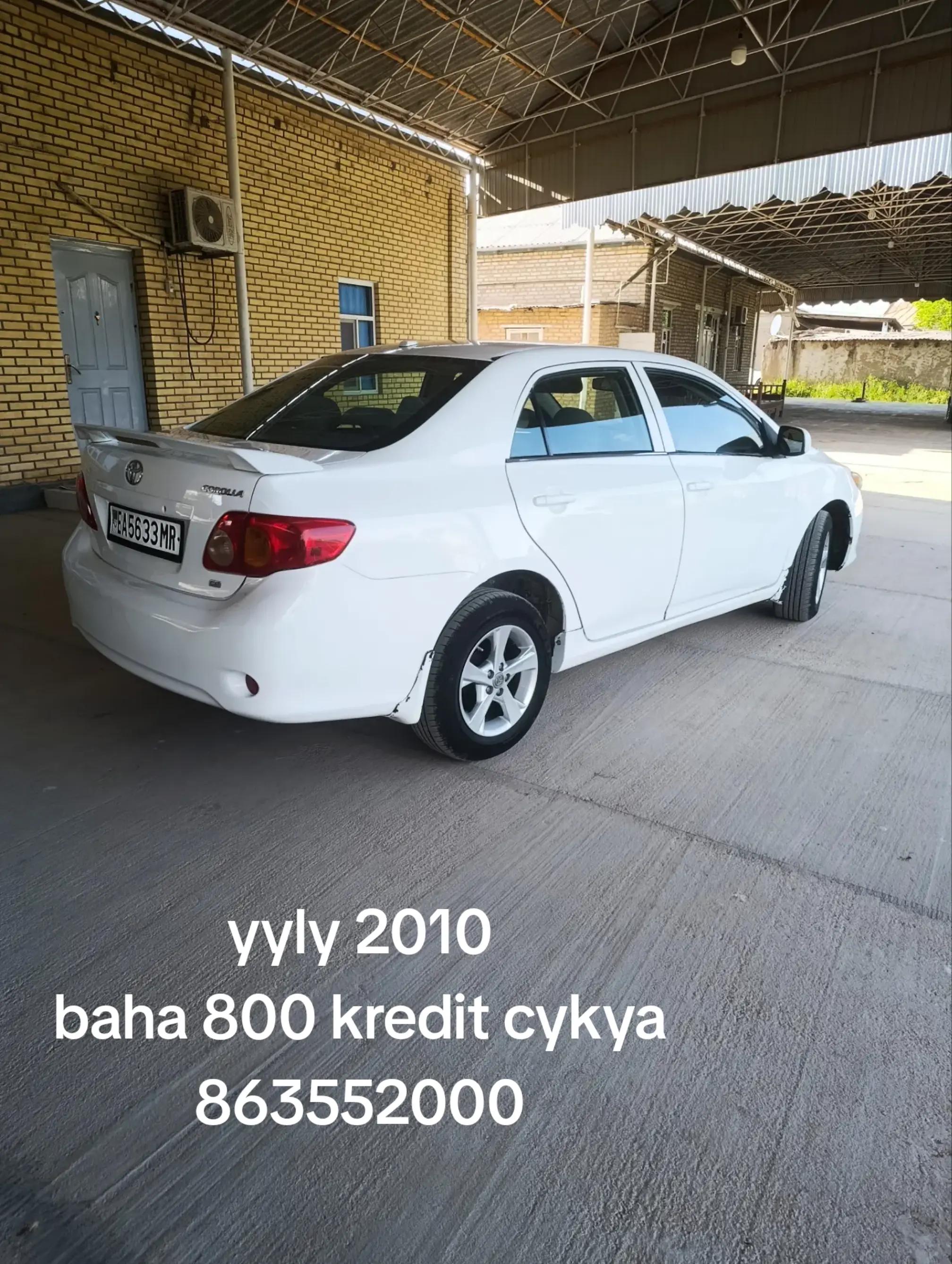 @Shapak Auto