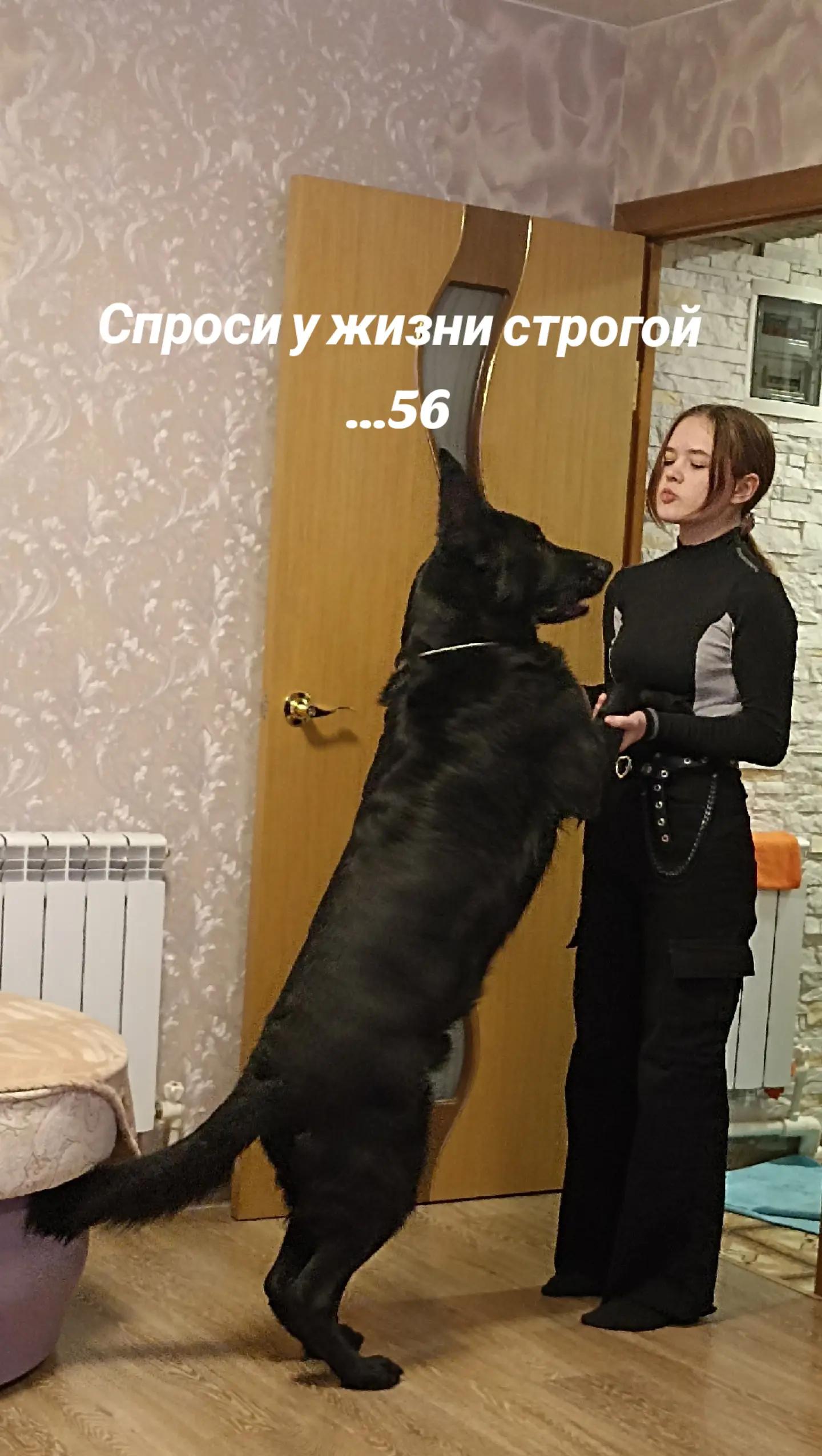 @❤❤❤