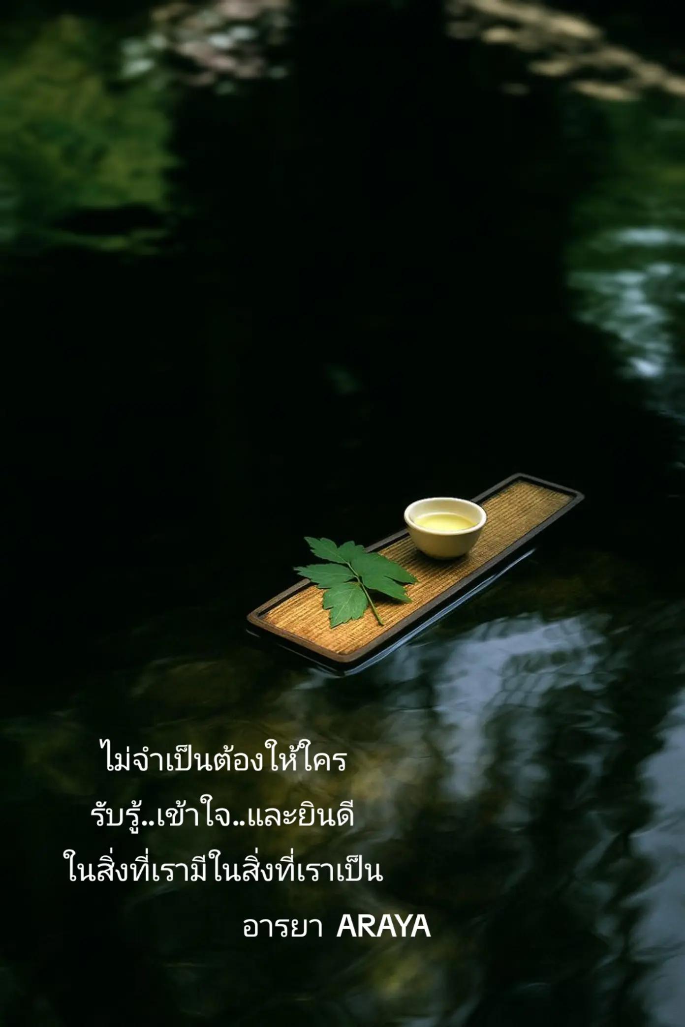@อารยา araya