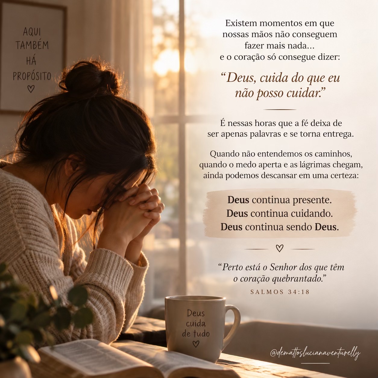 @Luciana Venturelli de Mattos