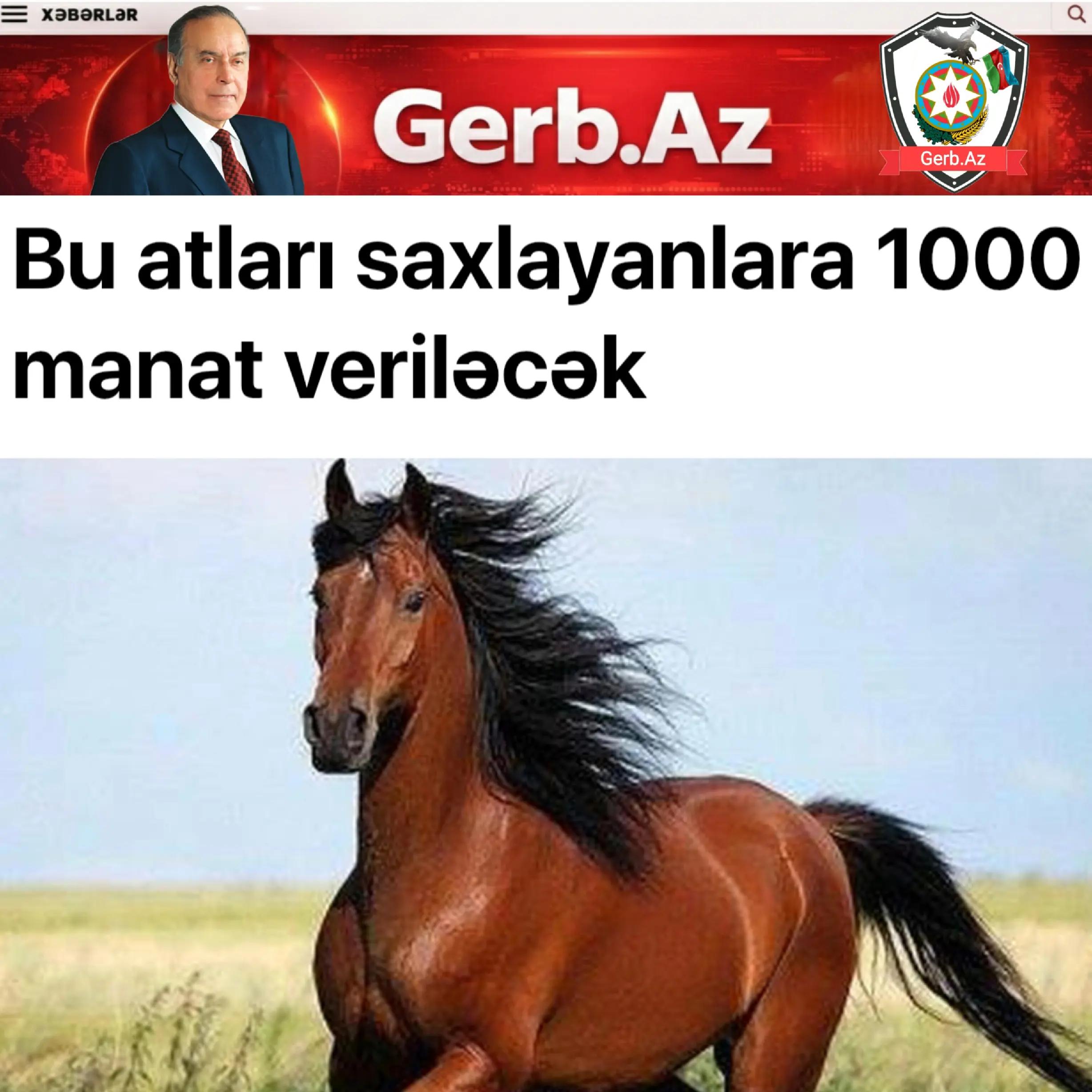 @Gerb.Az