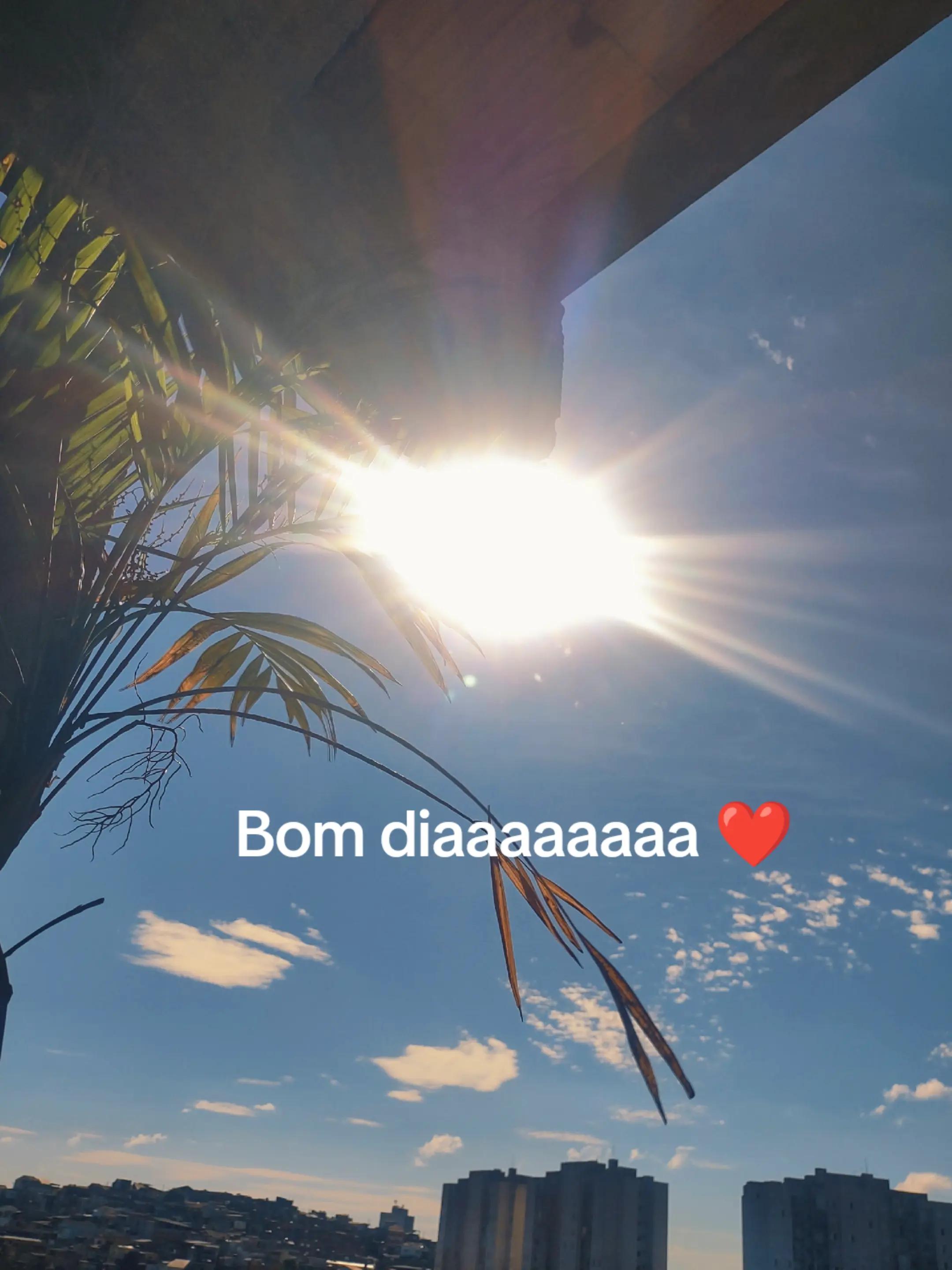@Cleusa Saraiva441