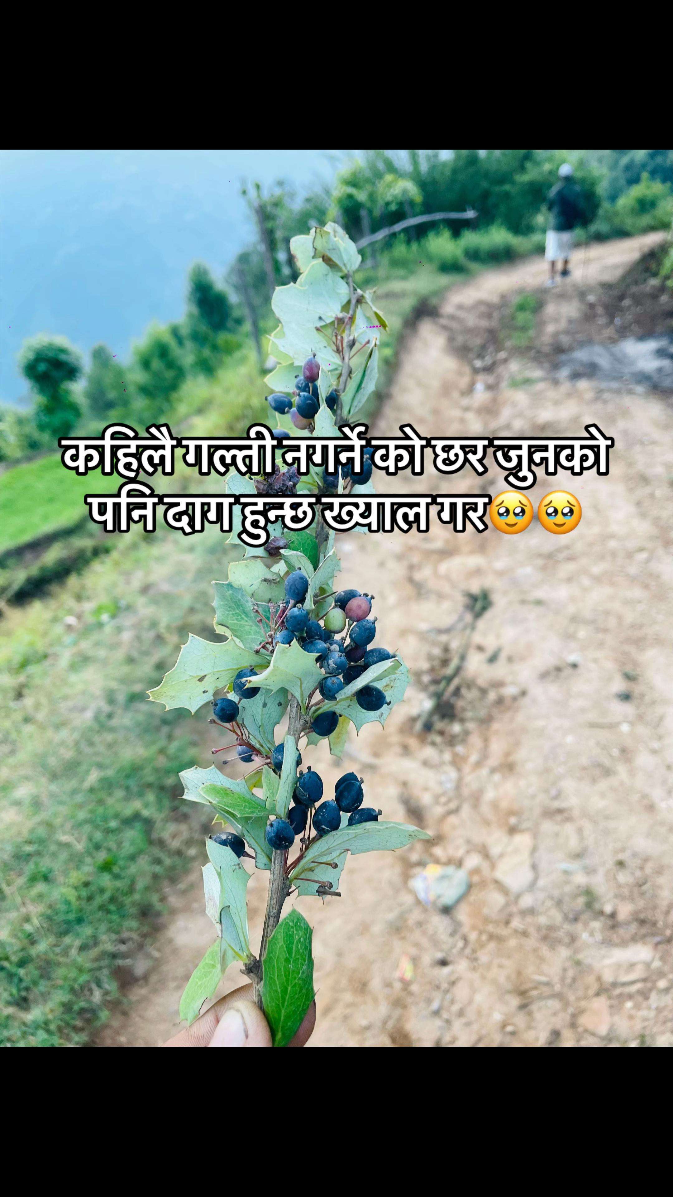 @Uneesh Poon Magar✅