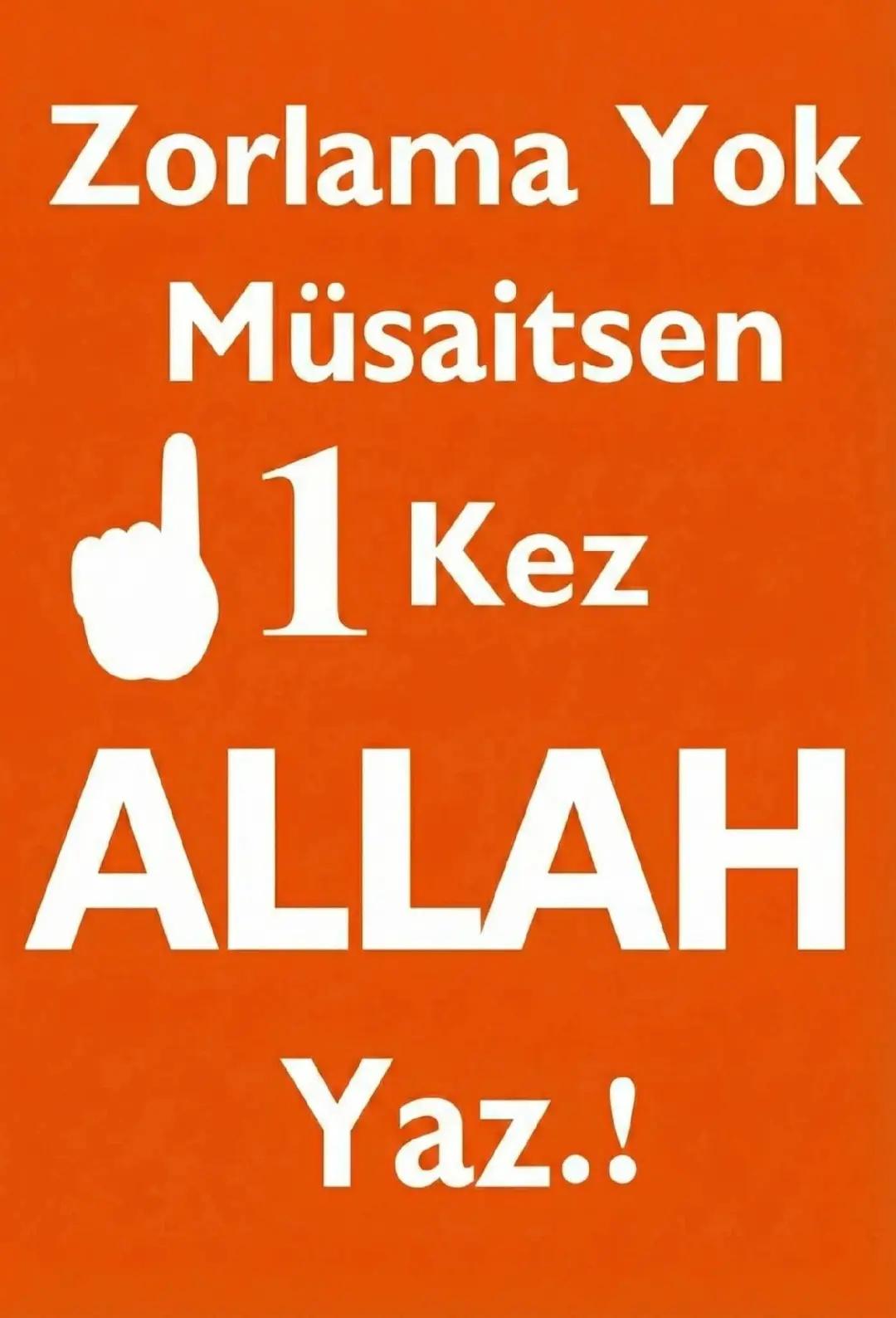 @şeenol Albayrak