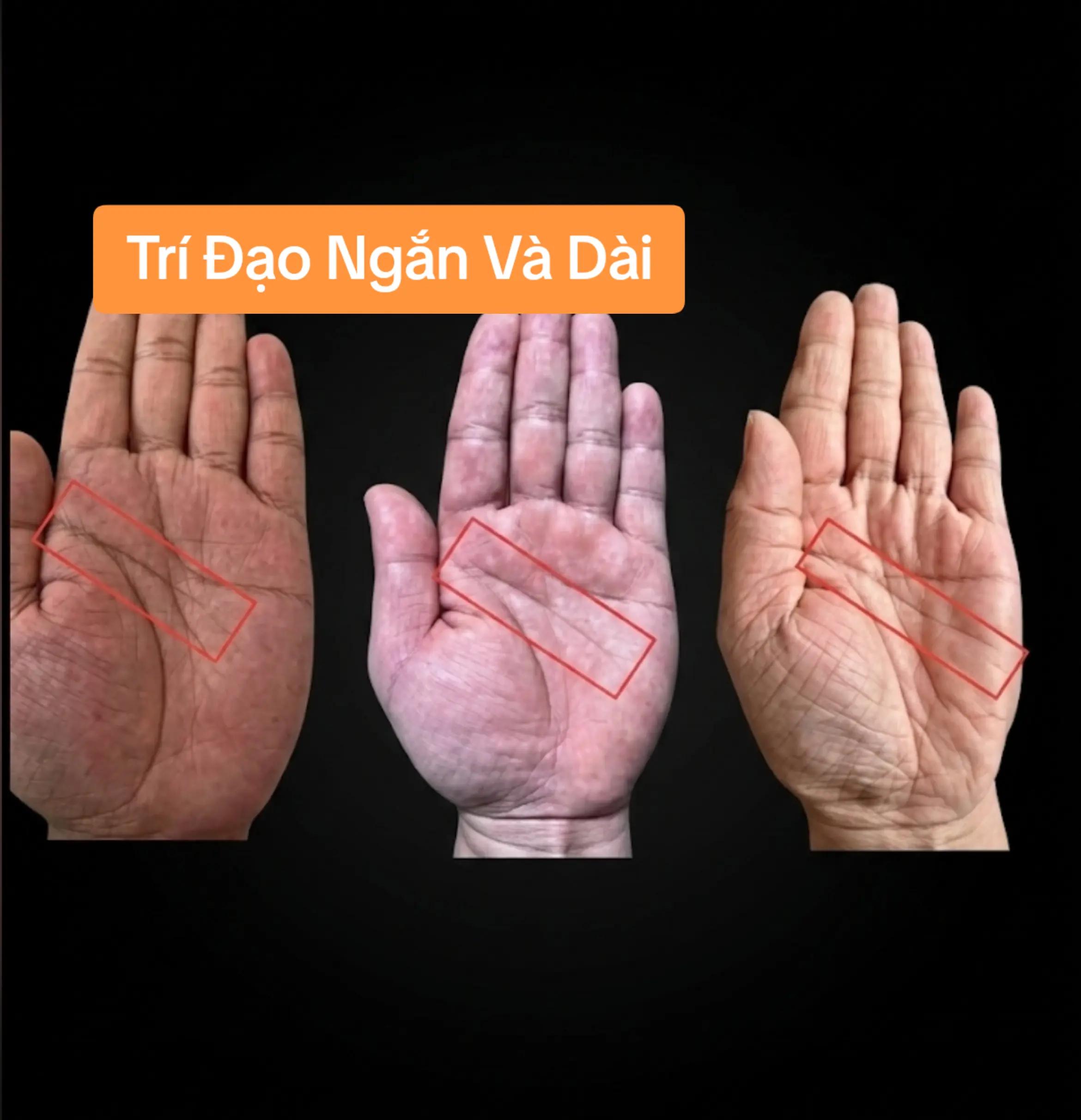 @Nhân Tướng Sửa Mình (Đỗ Lâm)