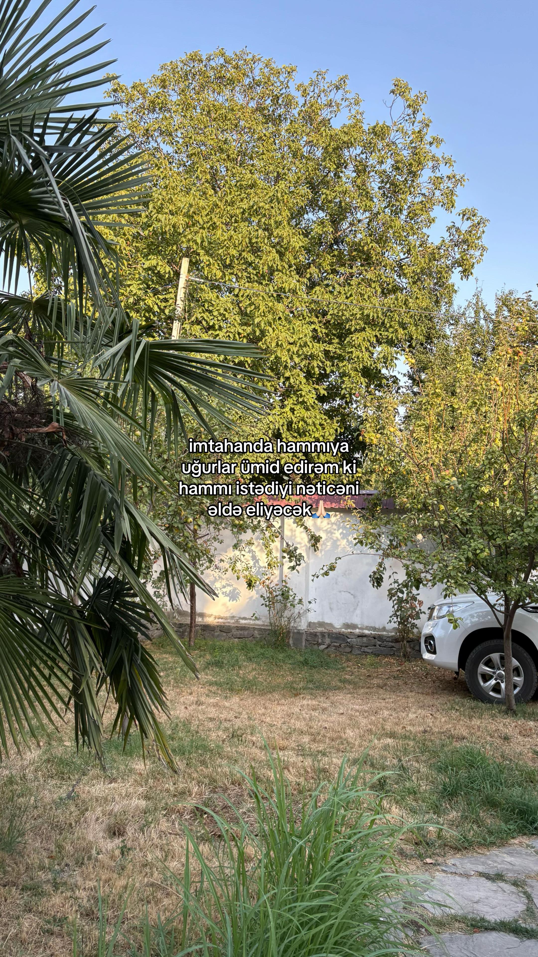 @🌶️