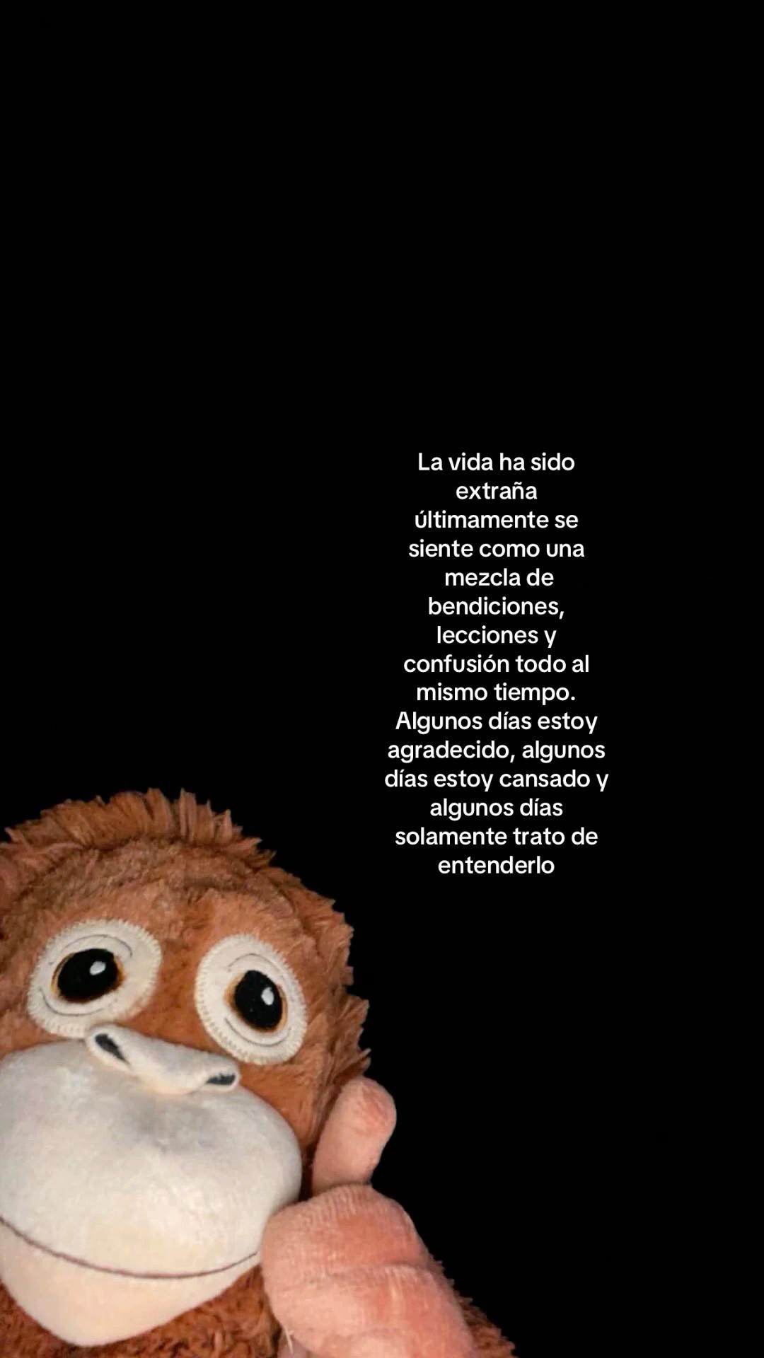 @&Aacute;ngel_Vaz06