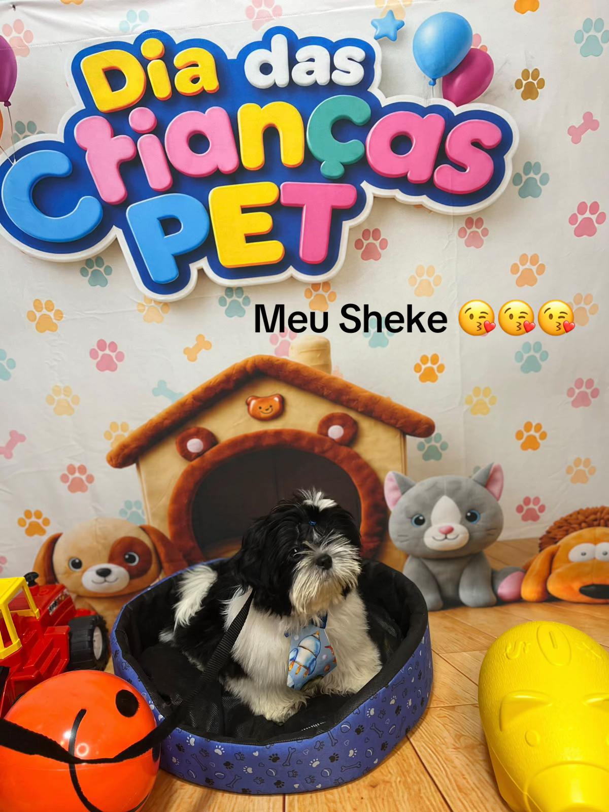 @indiazinha