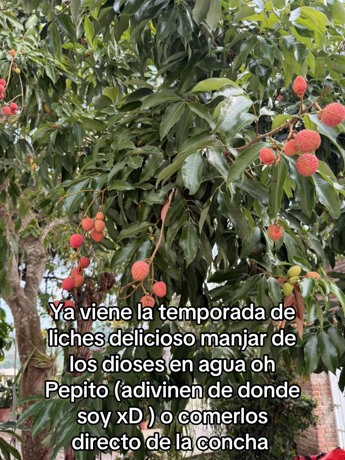 @🦋hellokaty🦋