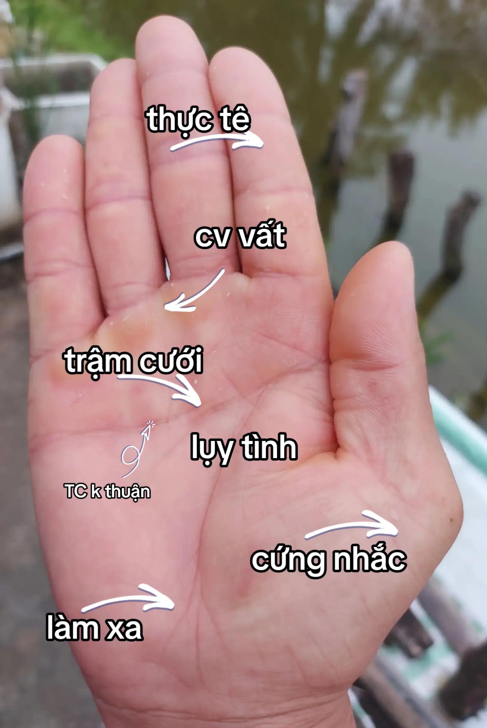 @Nh&acirc;n Tướng Hiểu M&igrave;nh