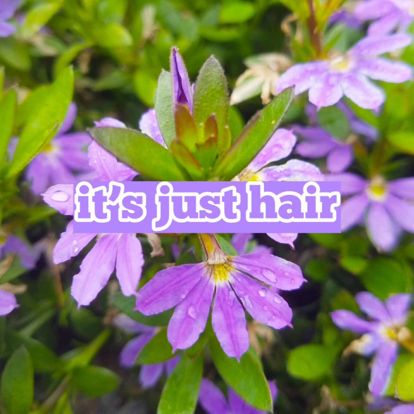 @Queen Esie 🌸🌺🌷💗