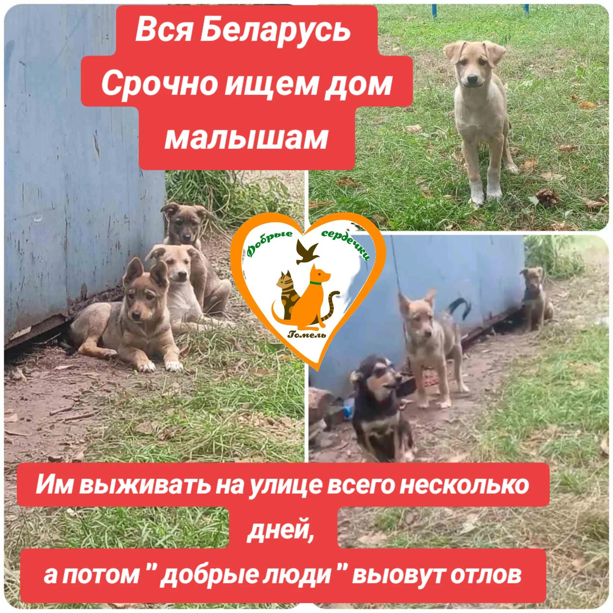 @Марина