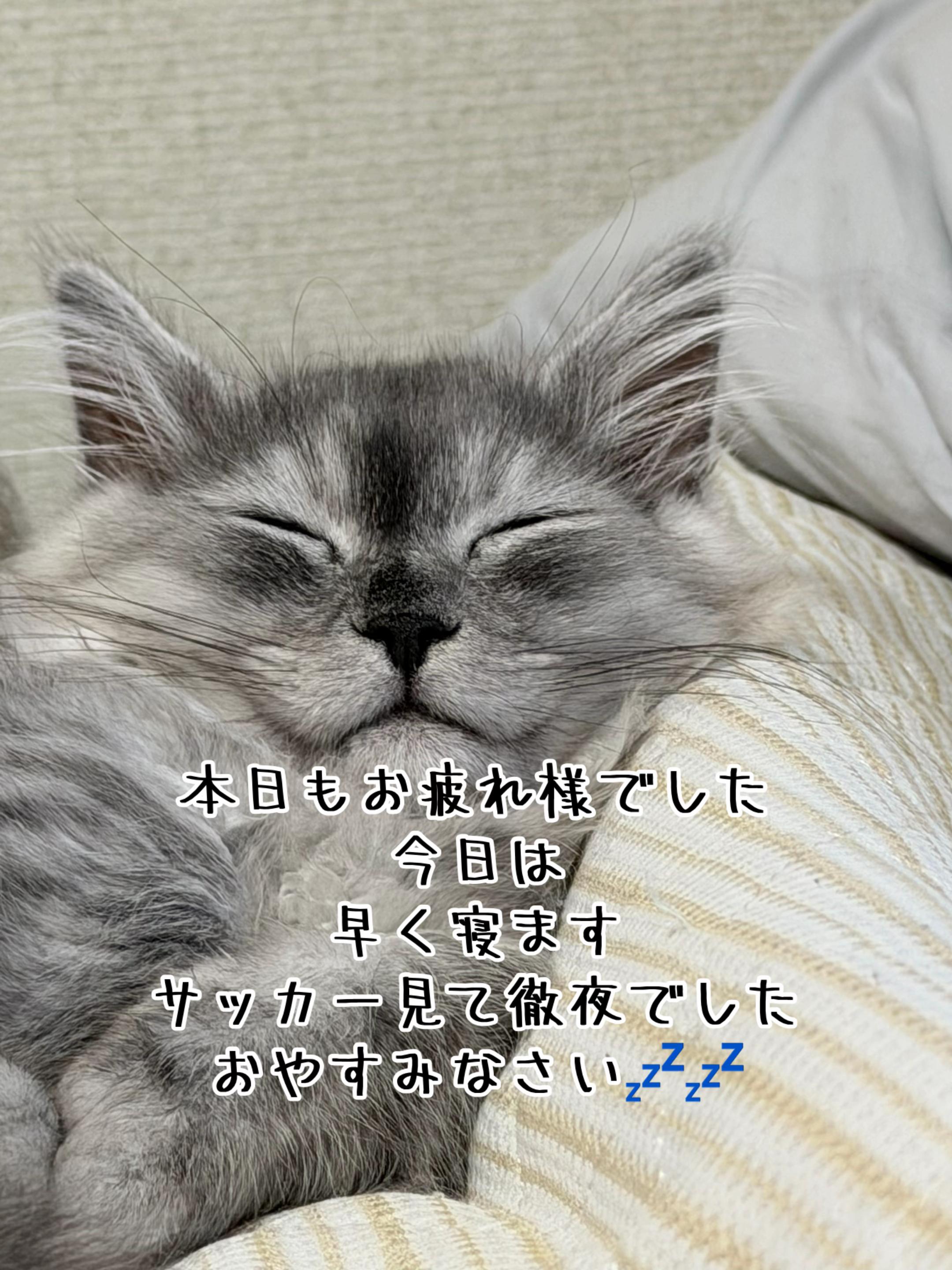 @ð¥é»æŸ€æ£å¿ð¥