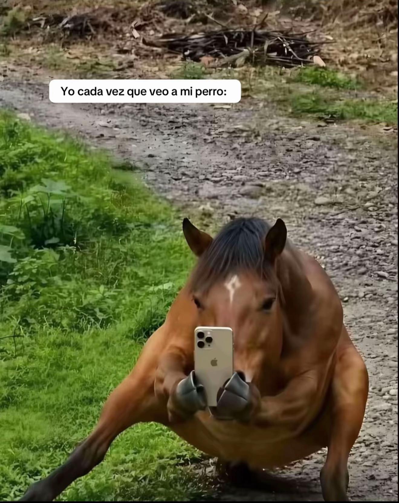 @laamooyaa5