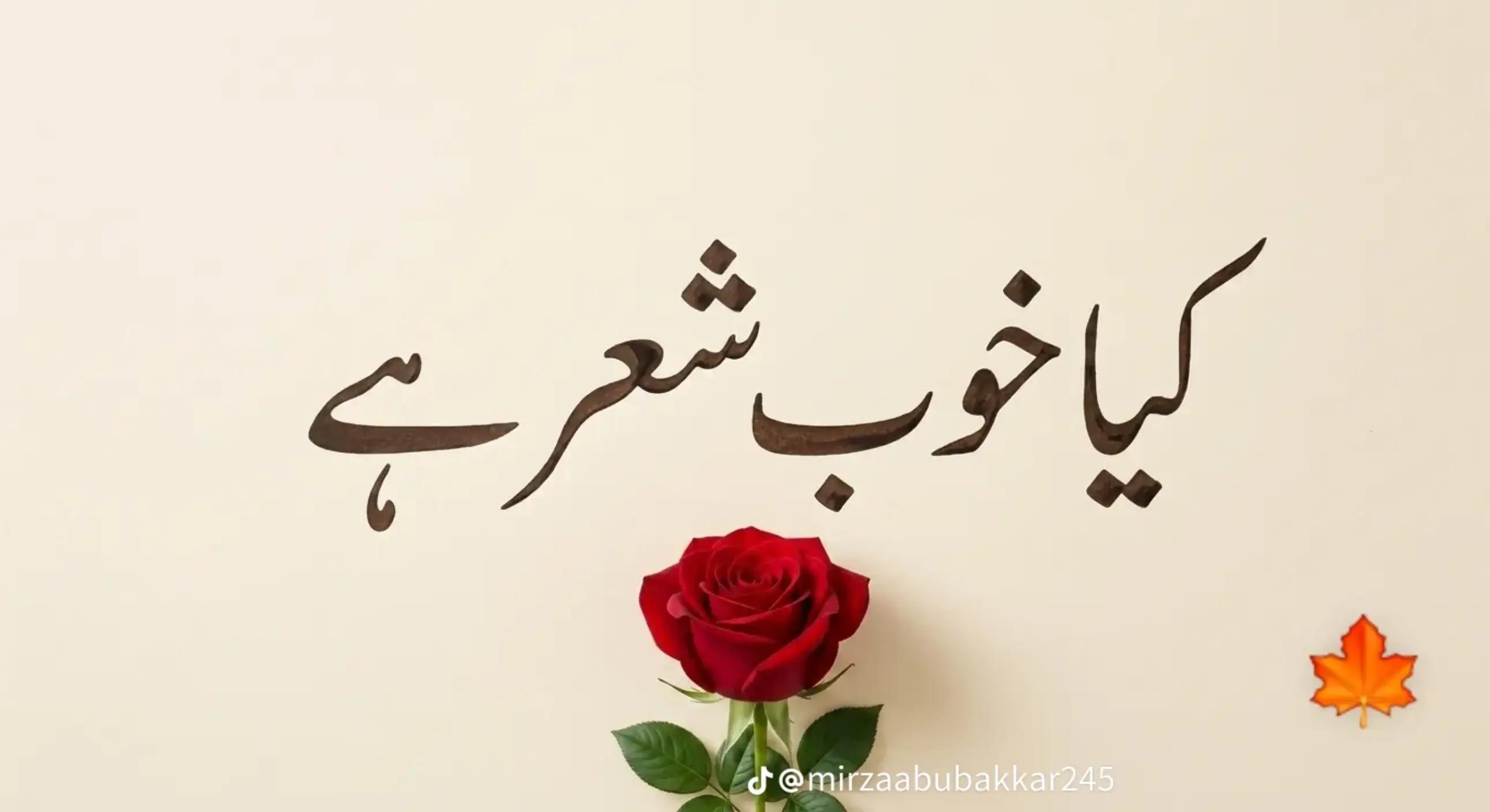 @Salman blouch786👉 Raja brand