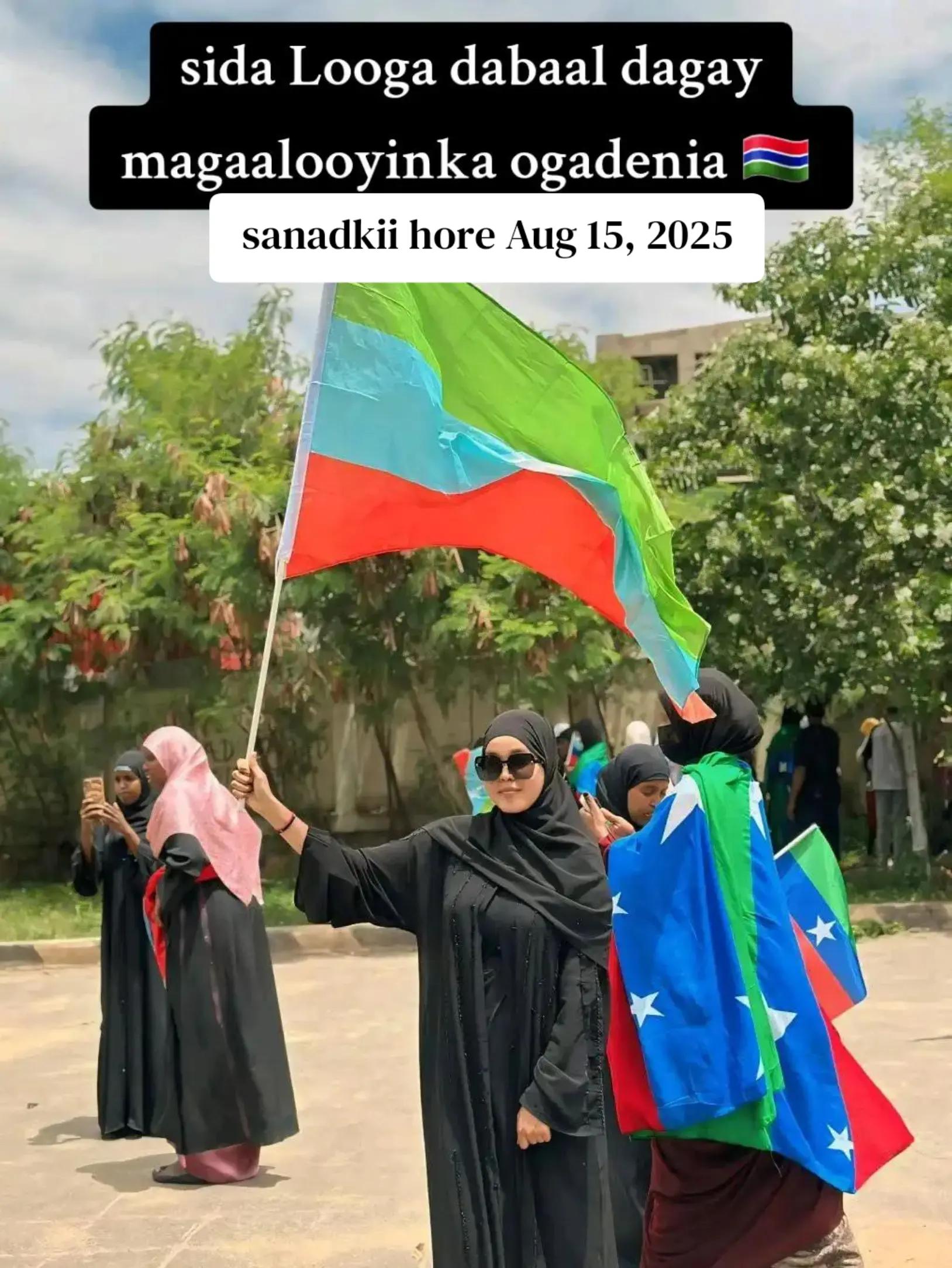 @Taqile⚡️تقل