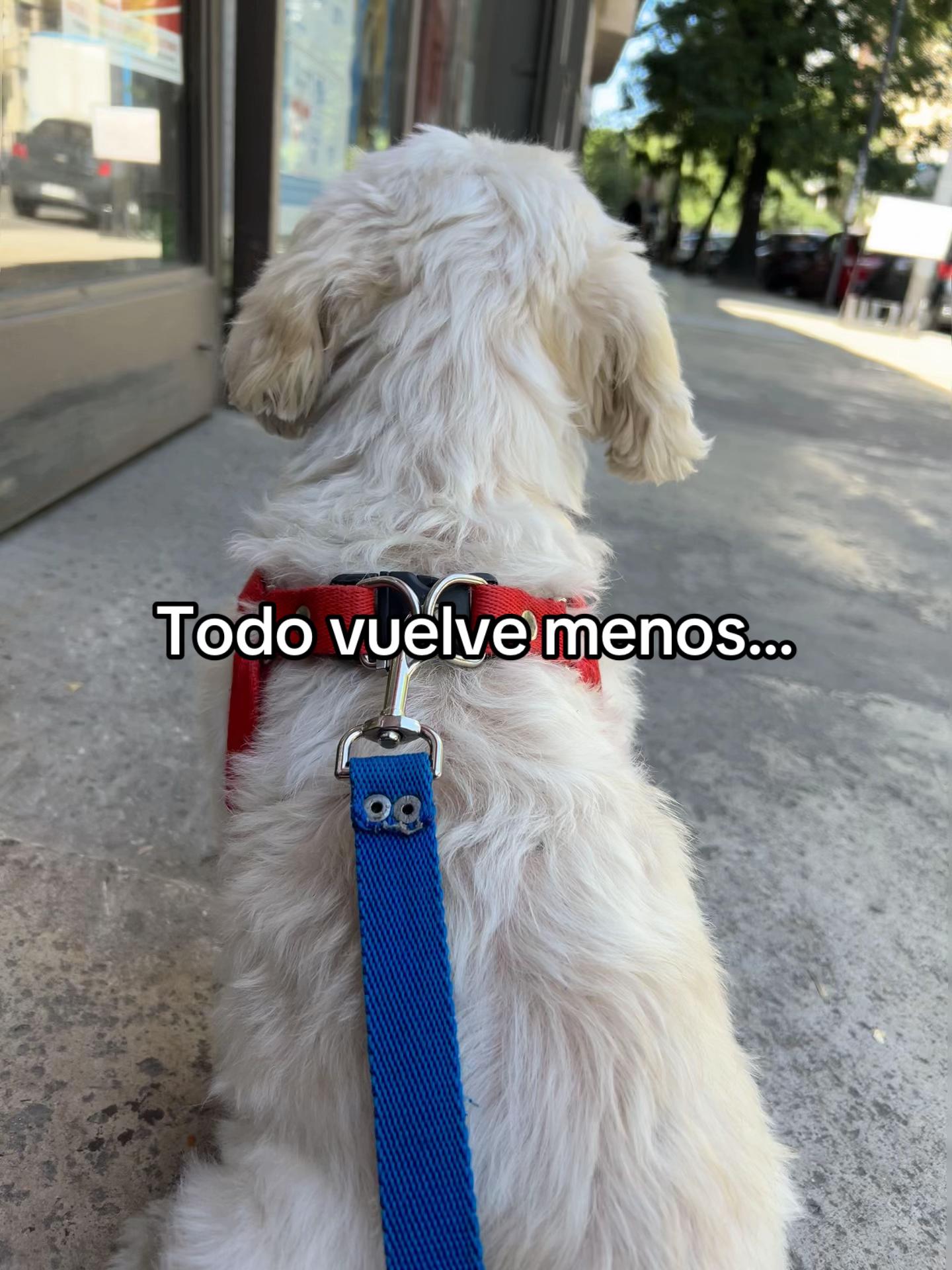 @nosoybenjaperosisoy