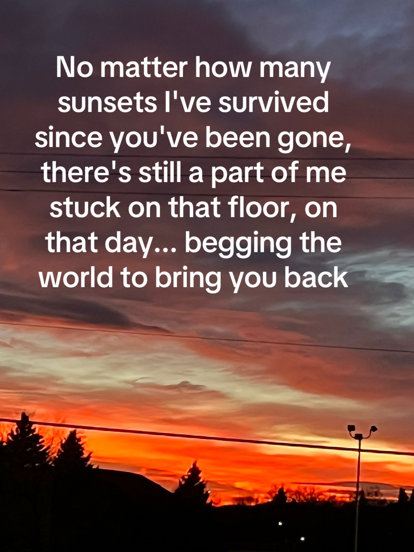 @Jennifer Rayner
