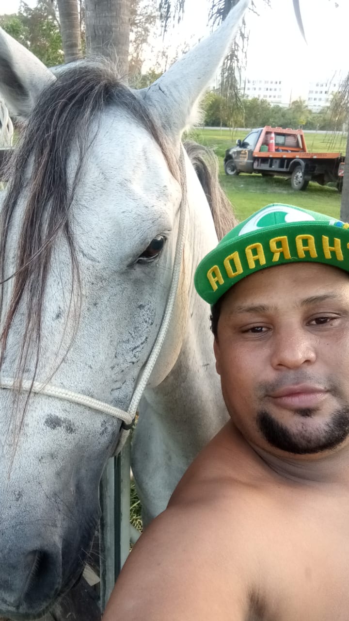 @Felipe machado