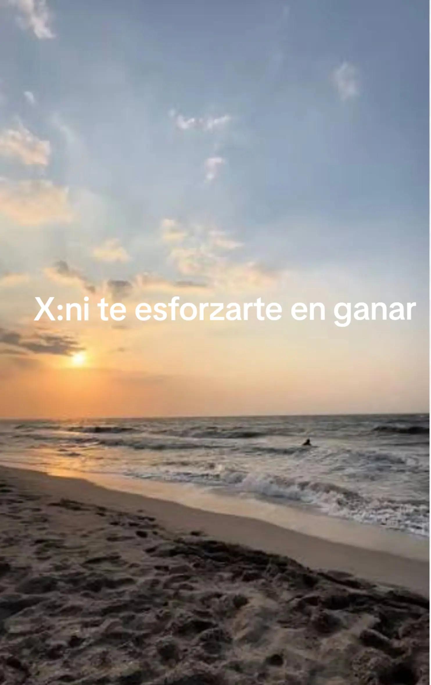 @chilenitoelsimiesito🦍