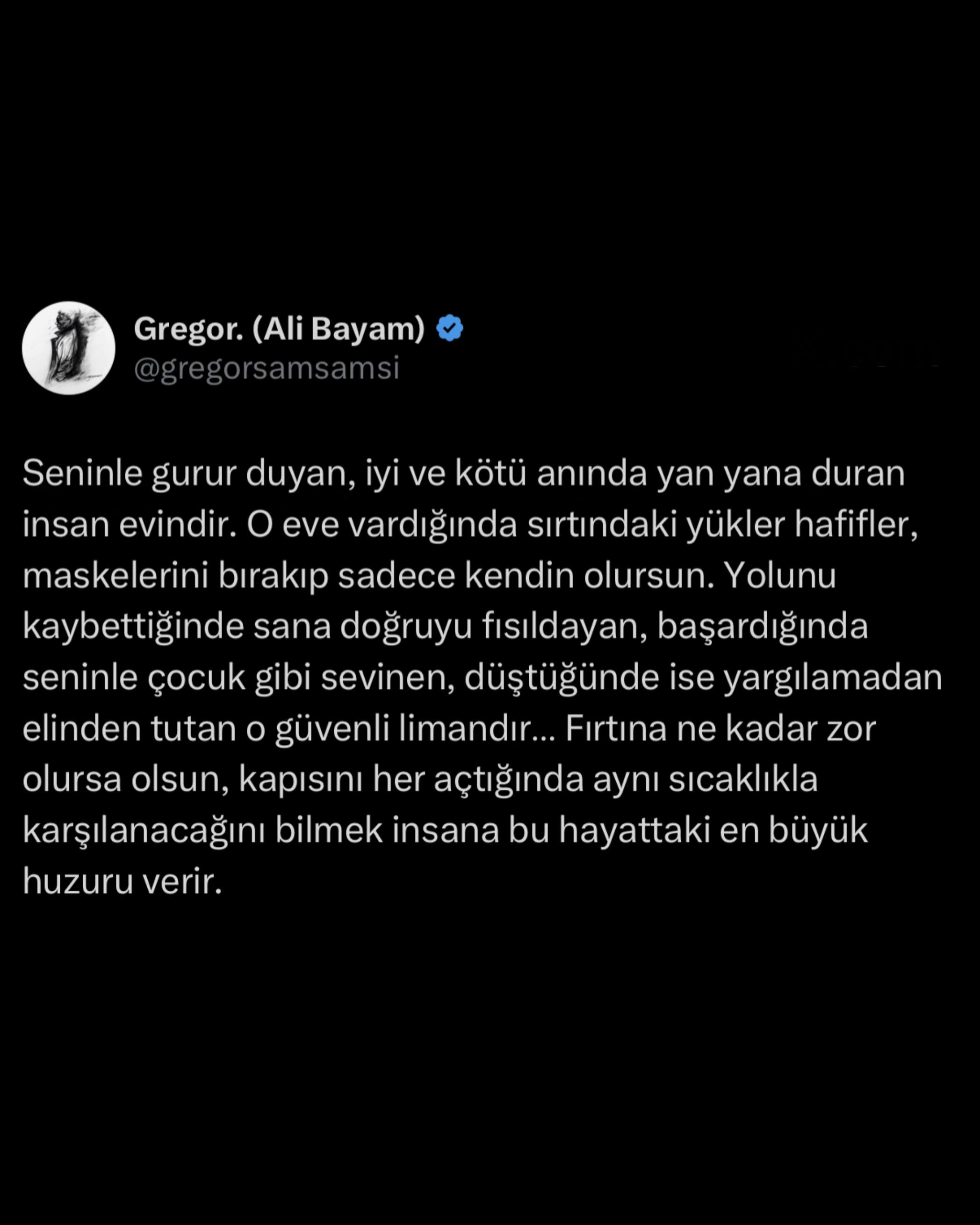 @Ali Bayam