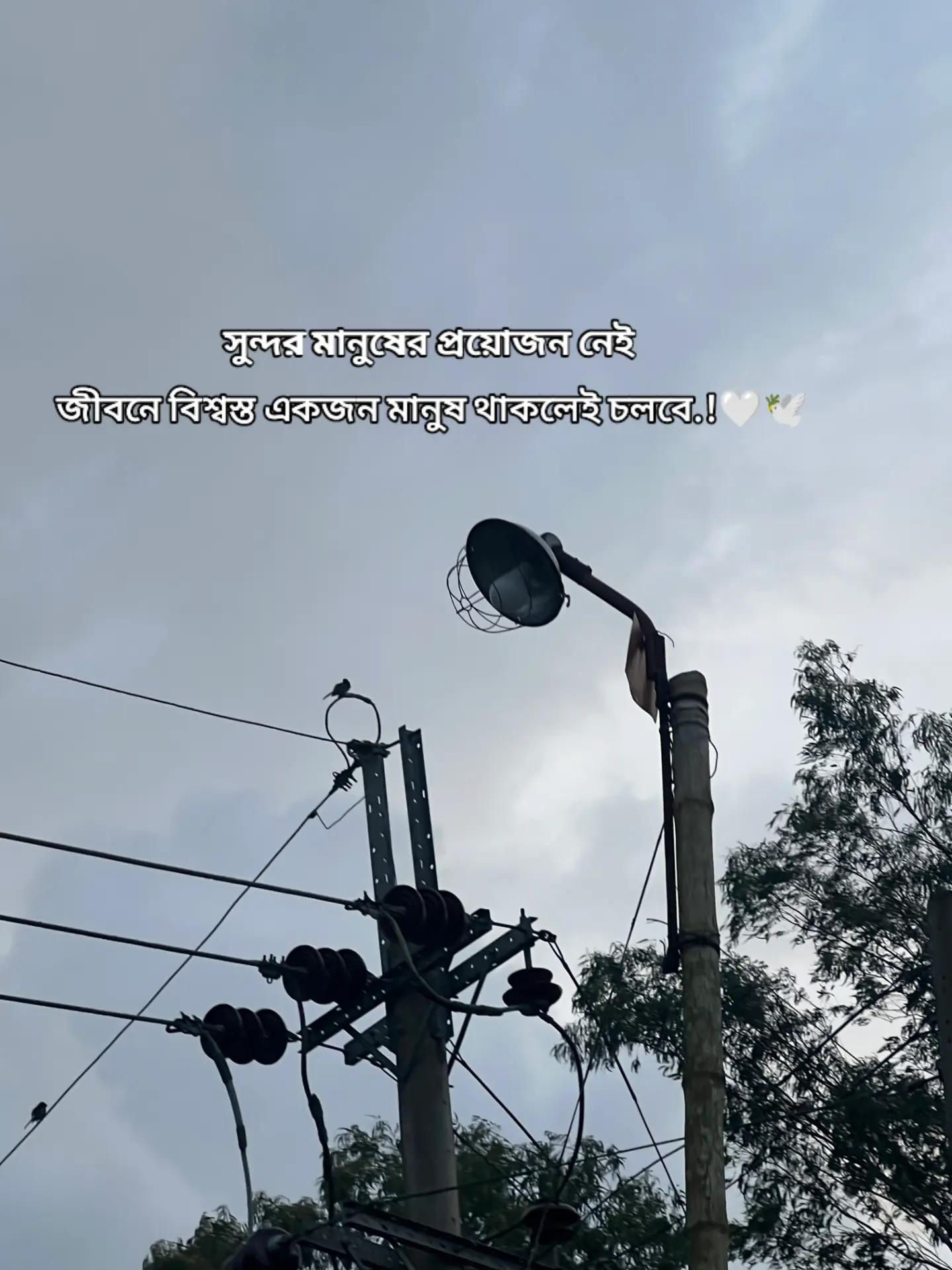 @~Fแฉฤคฤชแฐ,๐ธ๏ธ๐ท๏ธ