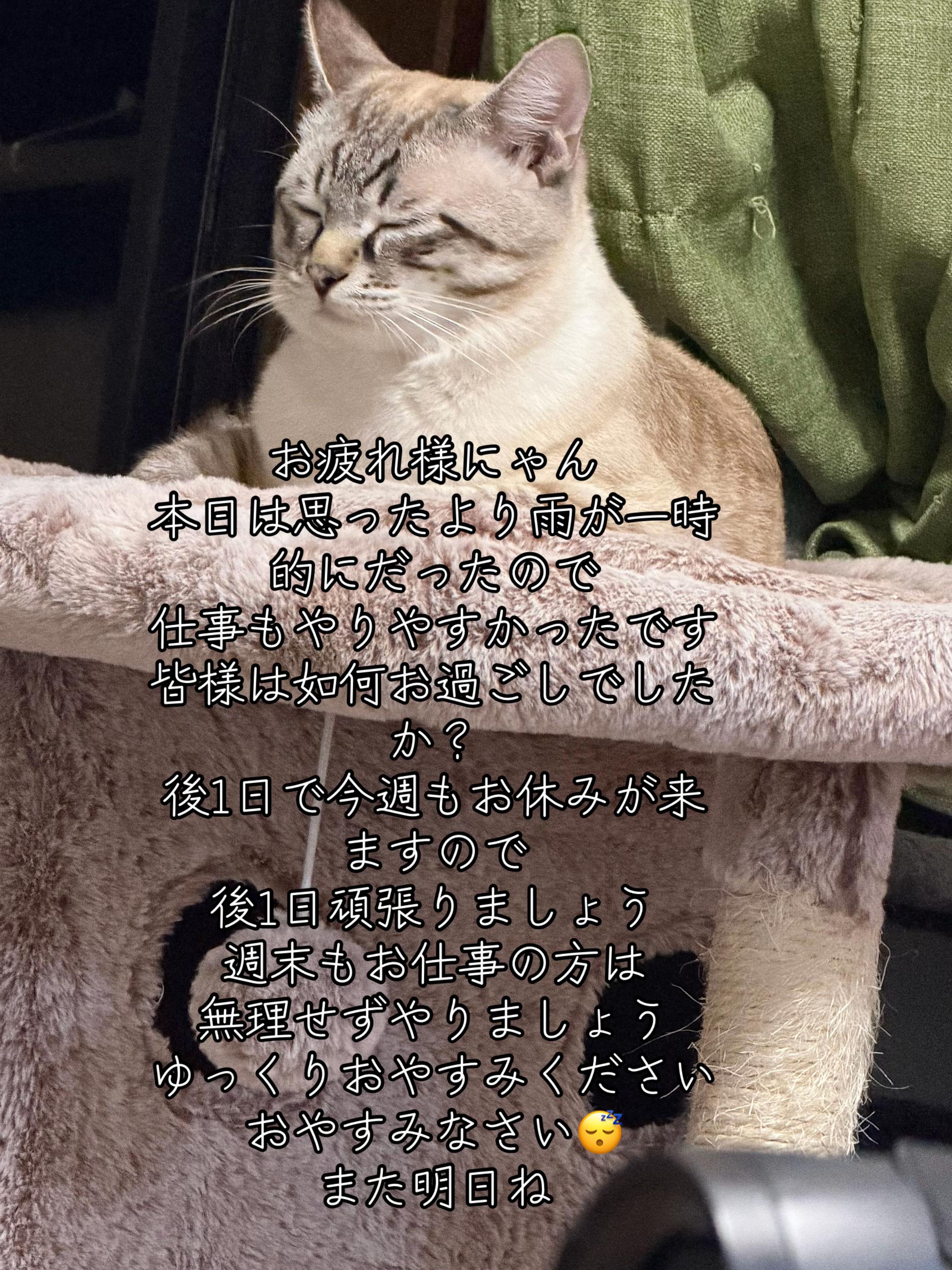 @🥀黒澤正志🥀