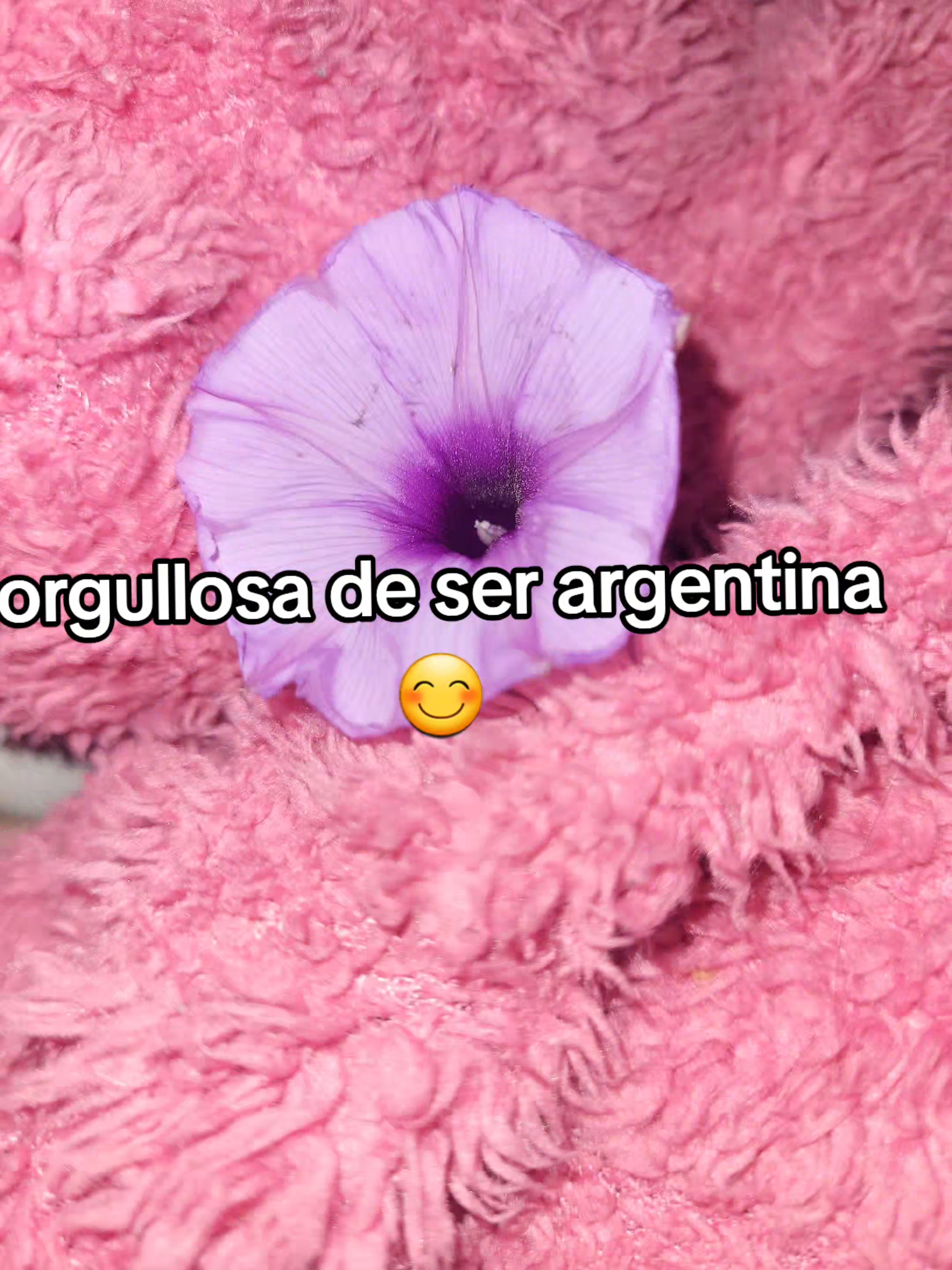 @samiii fan de arta♡
