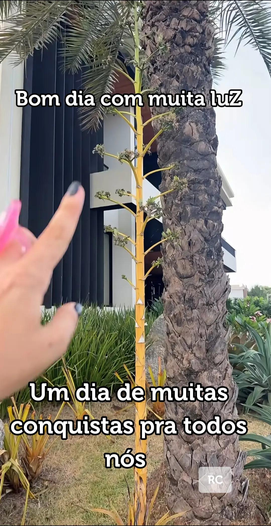 @RoberttoCarllos12