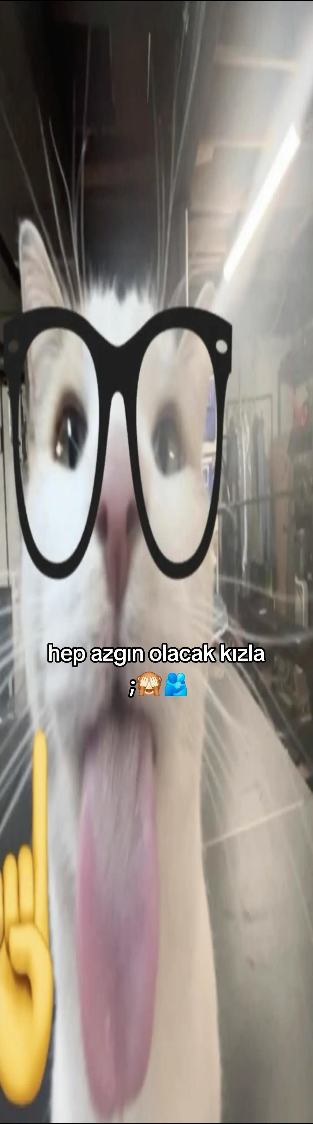 @losetxt
