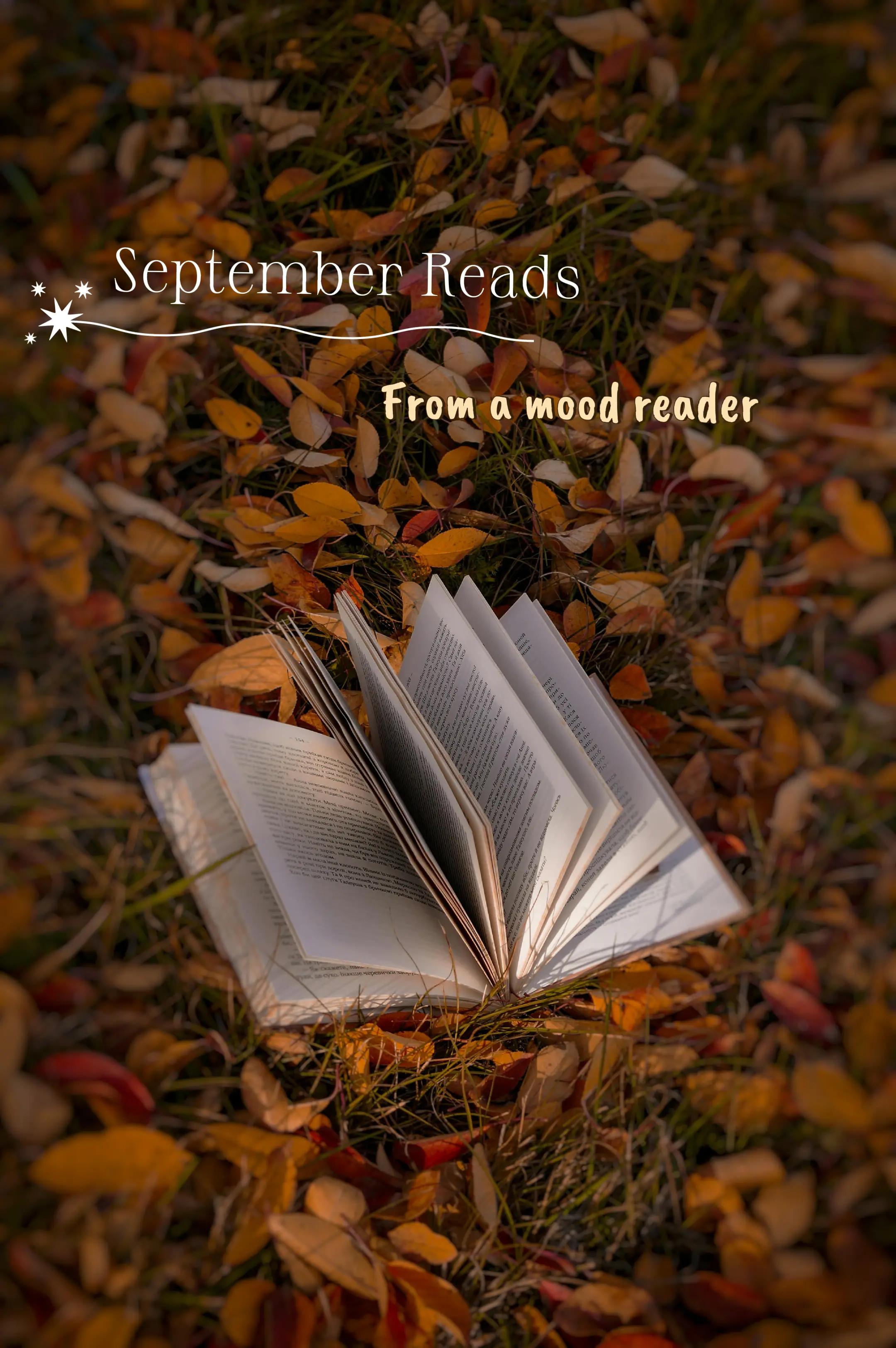 @Halesbookcorner