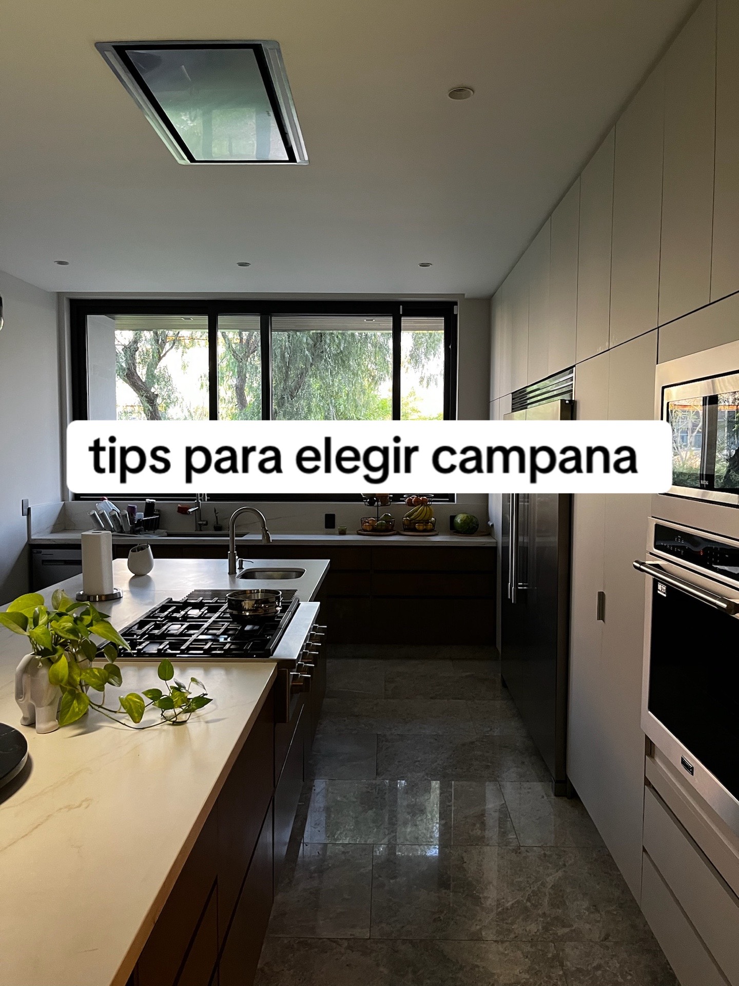@homea_mx