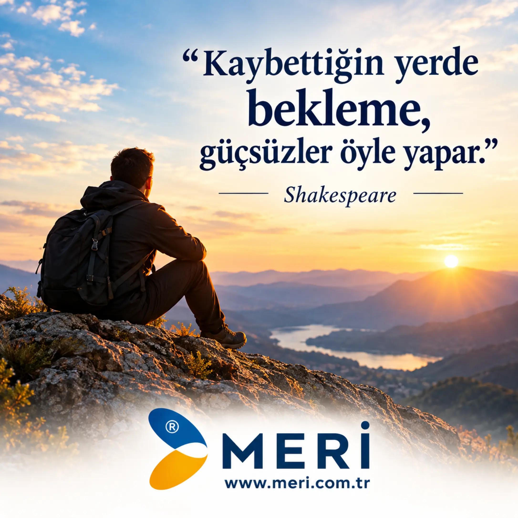 @Meri Sineklik İsmail Kurt