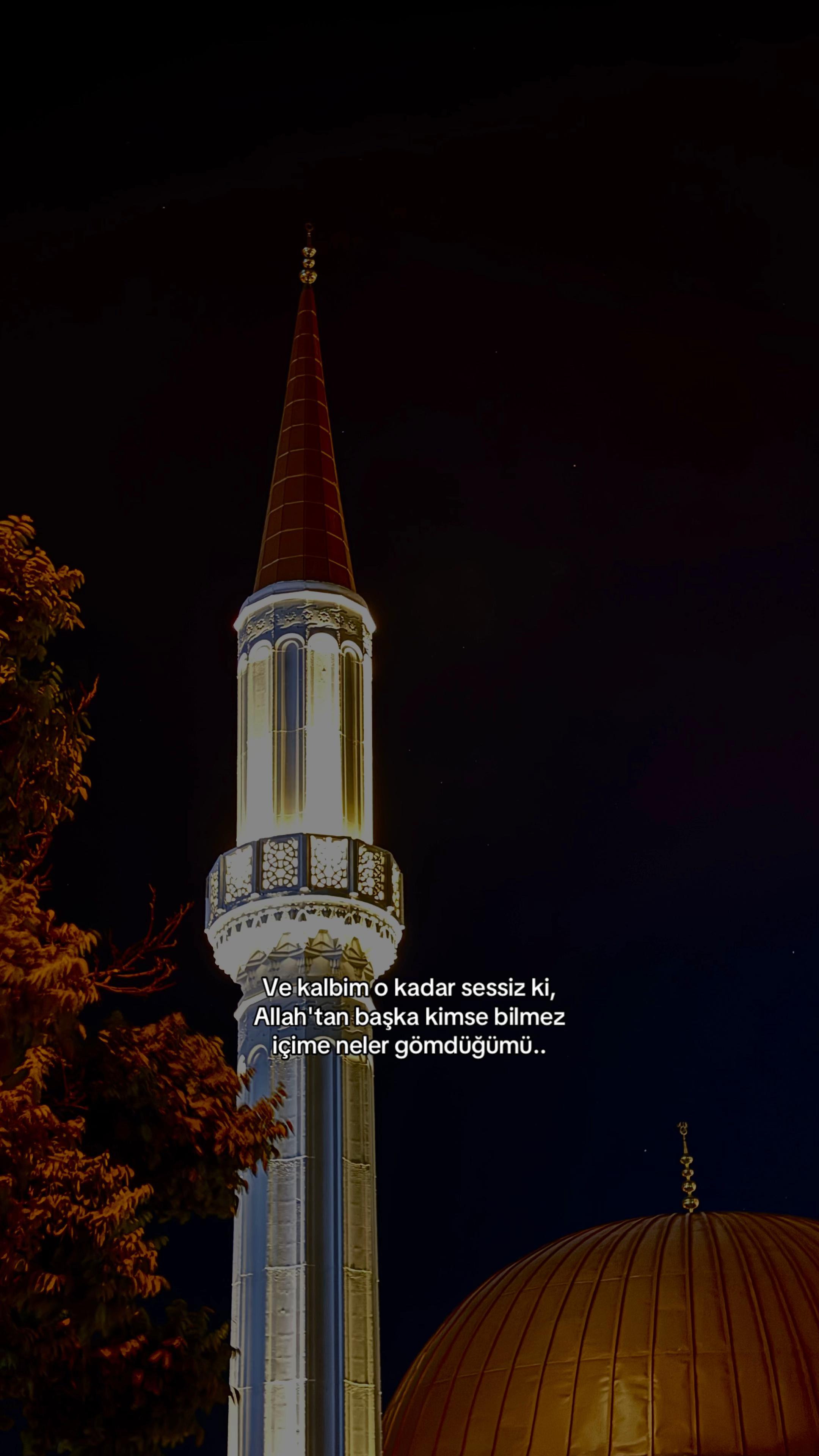 @𝓜