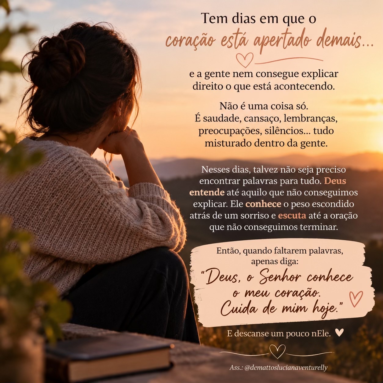@Luciana Venturelli de Mattos