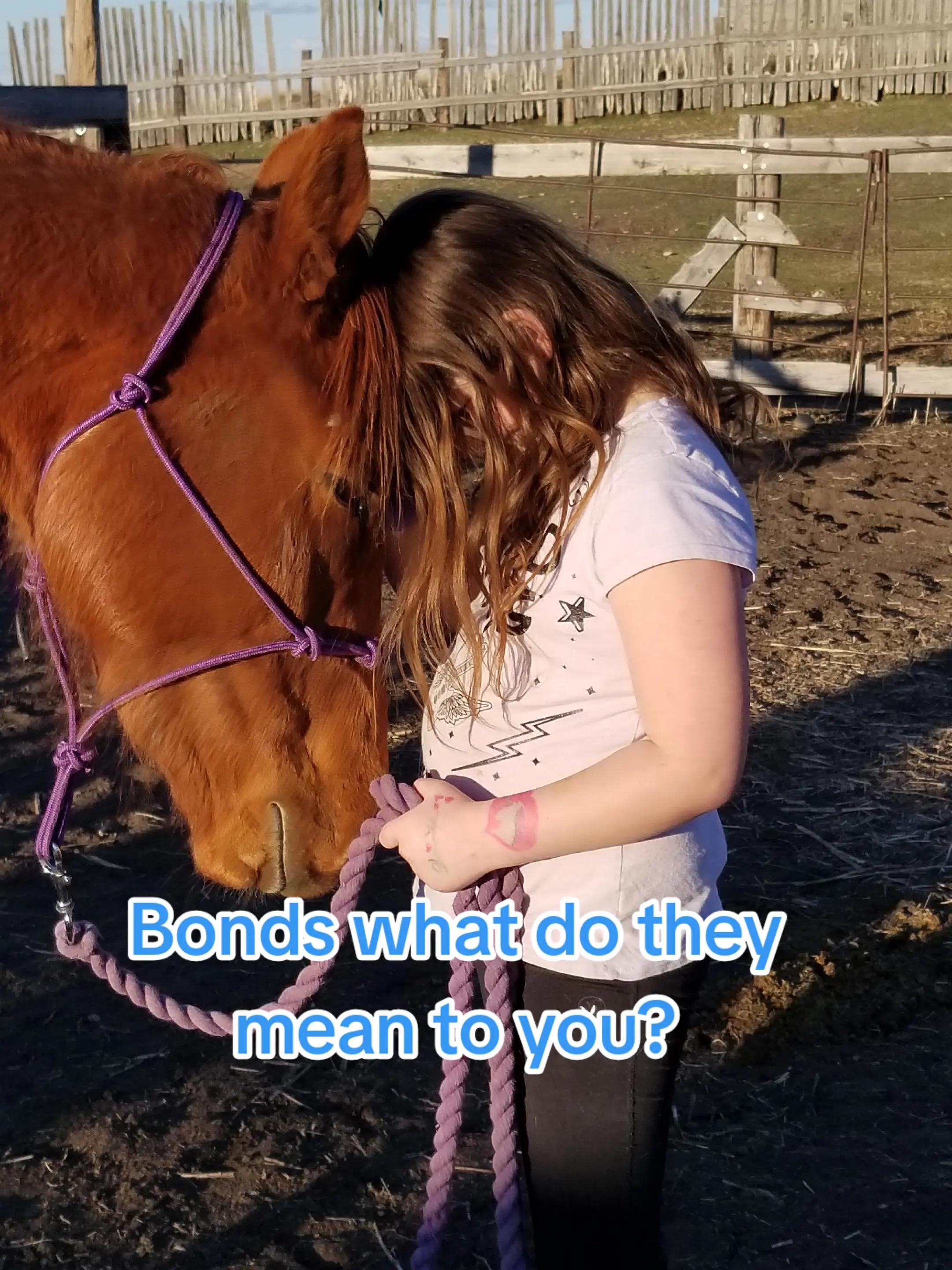 @Barrel Racing Journey