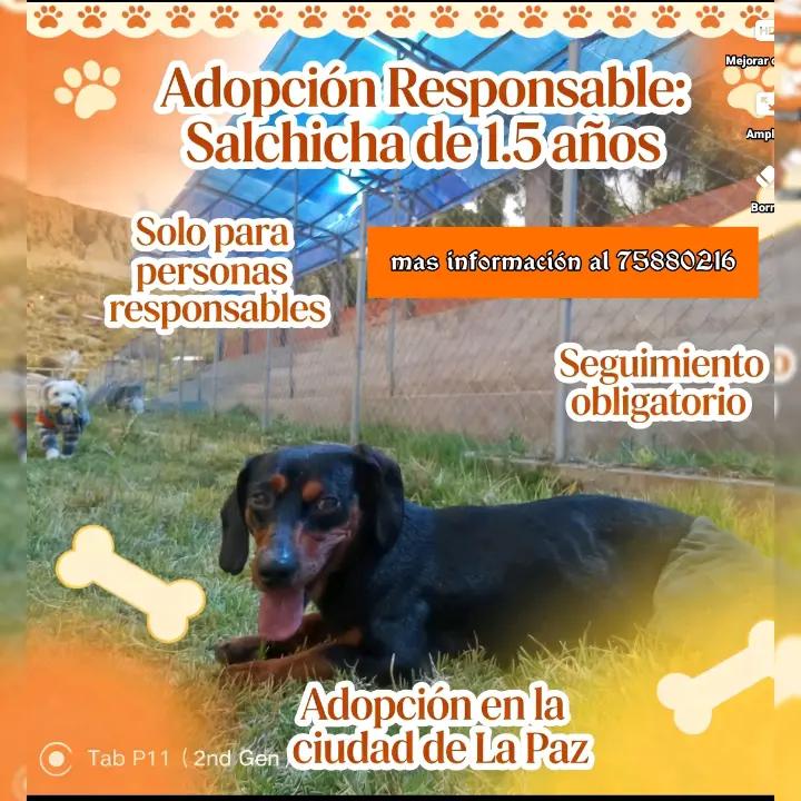 @Do&ntilde;a Se&ntilde;ora D