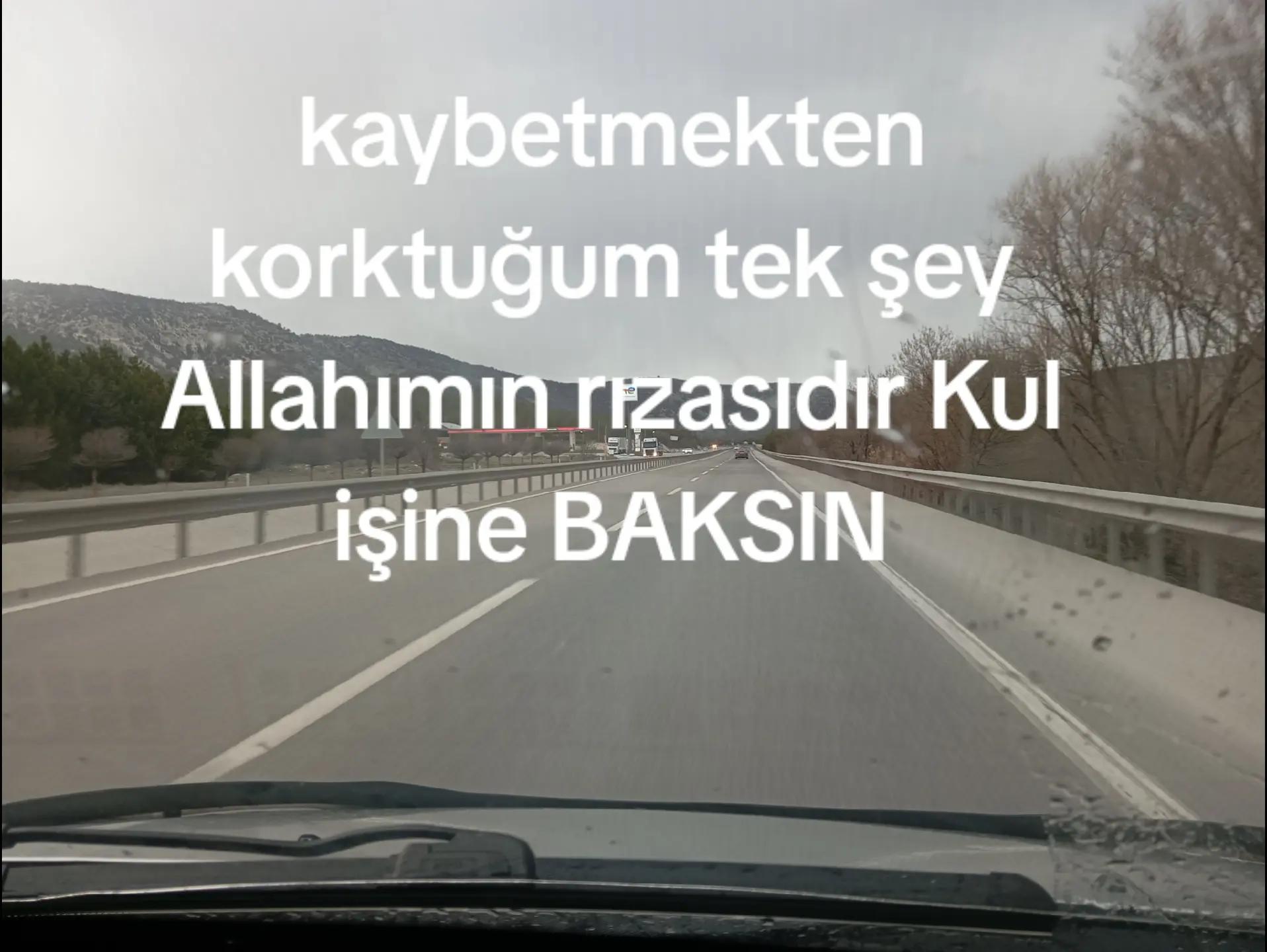 @reis antik