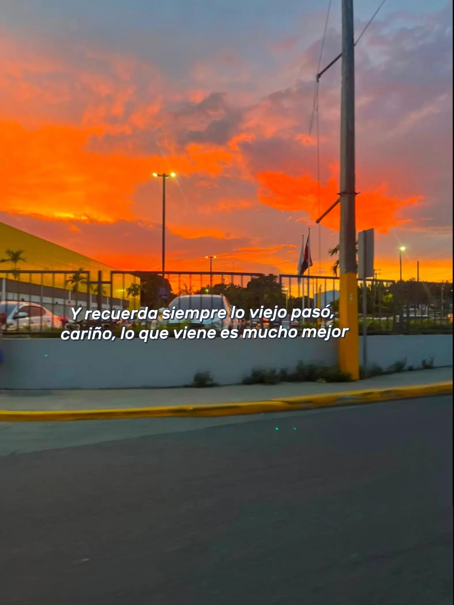 @💕lis💕