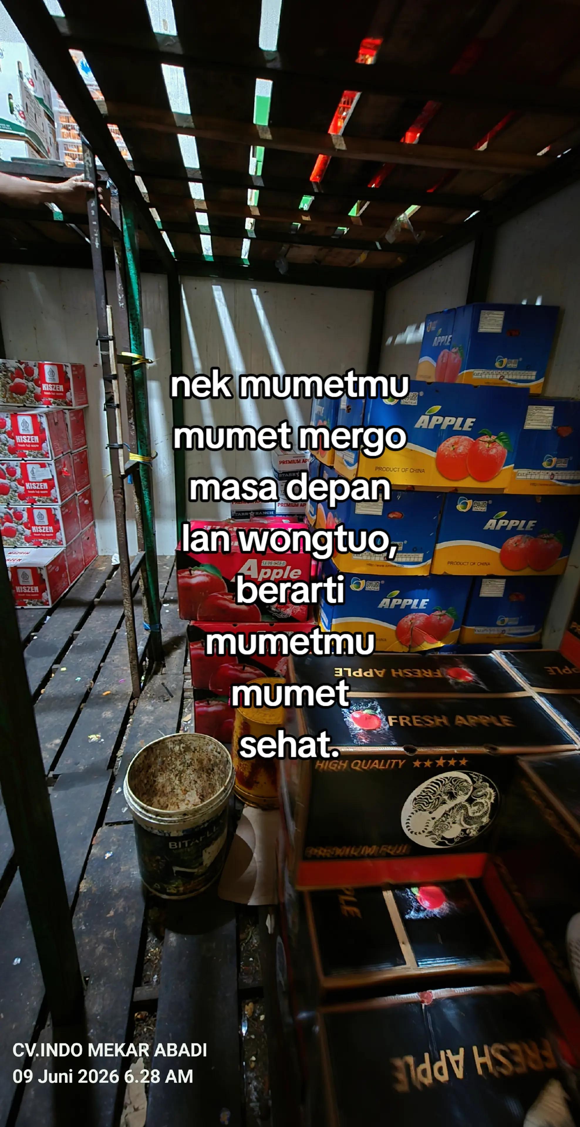 @supplier sayur dan buah sby