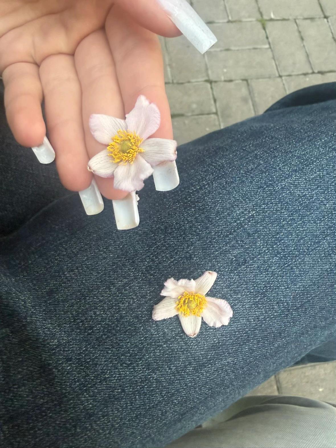 @eeew