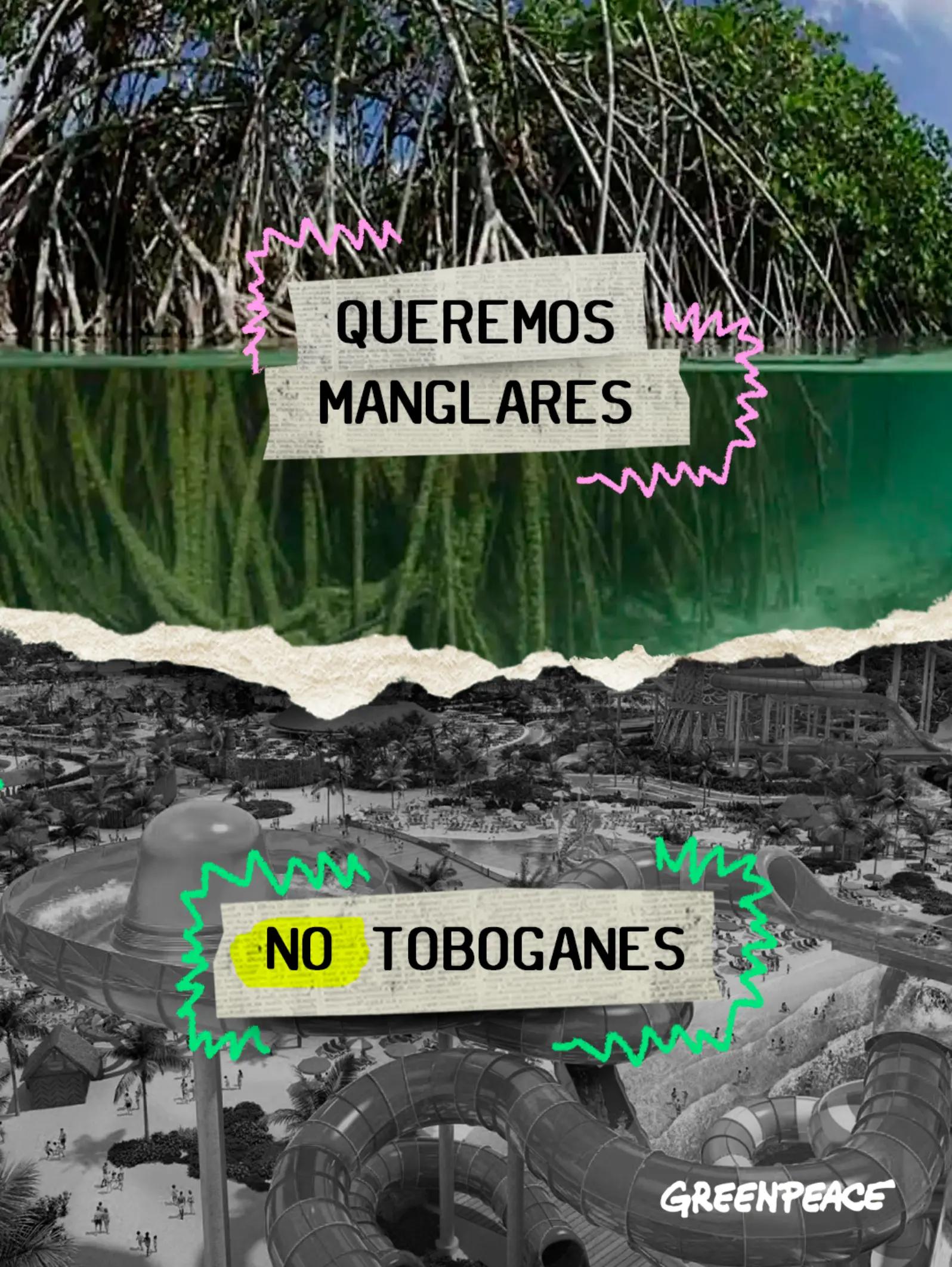 @Greenpeace México