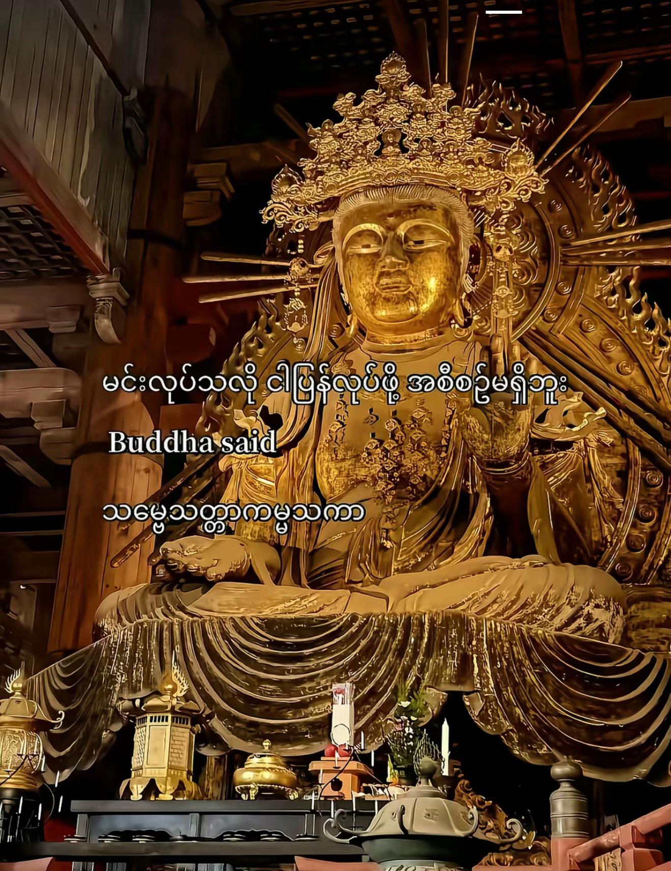 @Busipaung